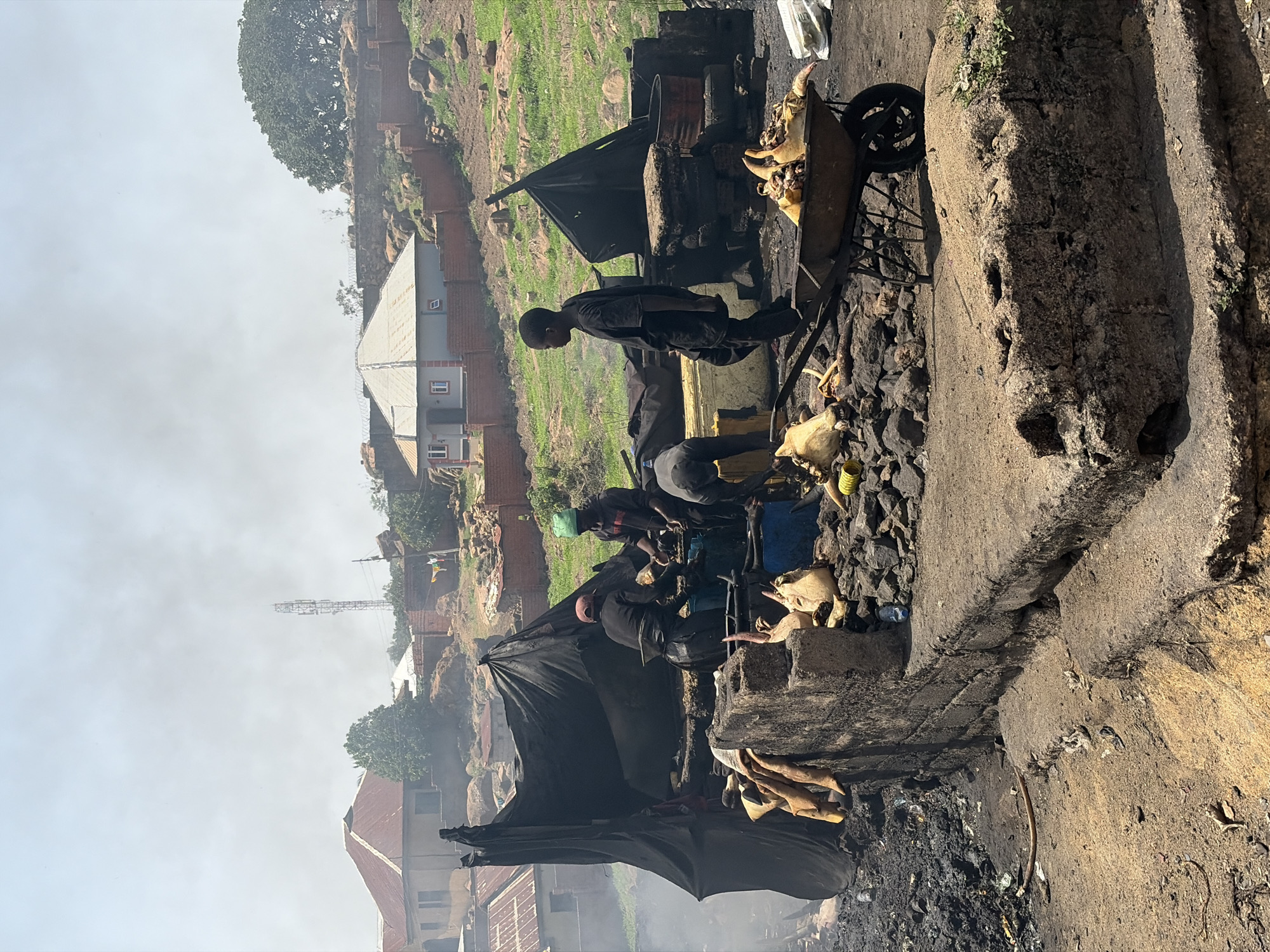 In Jos, Nigeria, a group of individuals are engaged in processing animal hides. They are positioned beside a concrete structure. A makeshift tent-like structure, supported by sticks, is nearby. A wheelbarrow filled with animal hides and a rusty barrel are present. Buildings and vegetation are visible in the background. The sky is overcast.