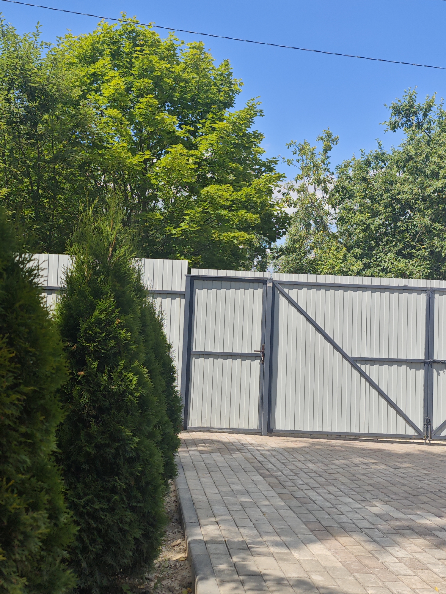 The image depicts a well-maintained pathway made of interlocking brick pavers leading to a closed, light gray corrugated metal gate with a dark metal frame. The gate appears to be for a driveway and has a diagonal support beam. To the left of the gate, a row of neatly trimmed, dark green coniferous trees stands alongside the pathway. Behind the trees and the gate, a dense canopy of lush green deciduous trees is visible, with some branches reaching towards a clear blue sky. A black wire is strung across the top of the frame. The overall scene suggests a private residence or property entrance in a suburban or rural setting, possibly the city of Khlevino, Russia. There are no people or animals present in the image.