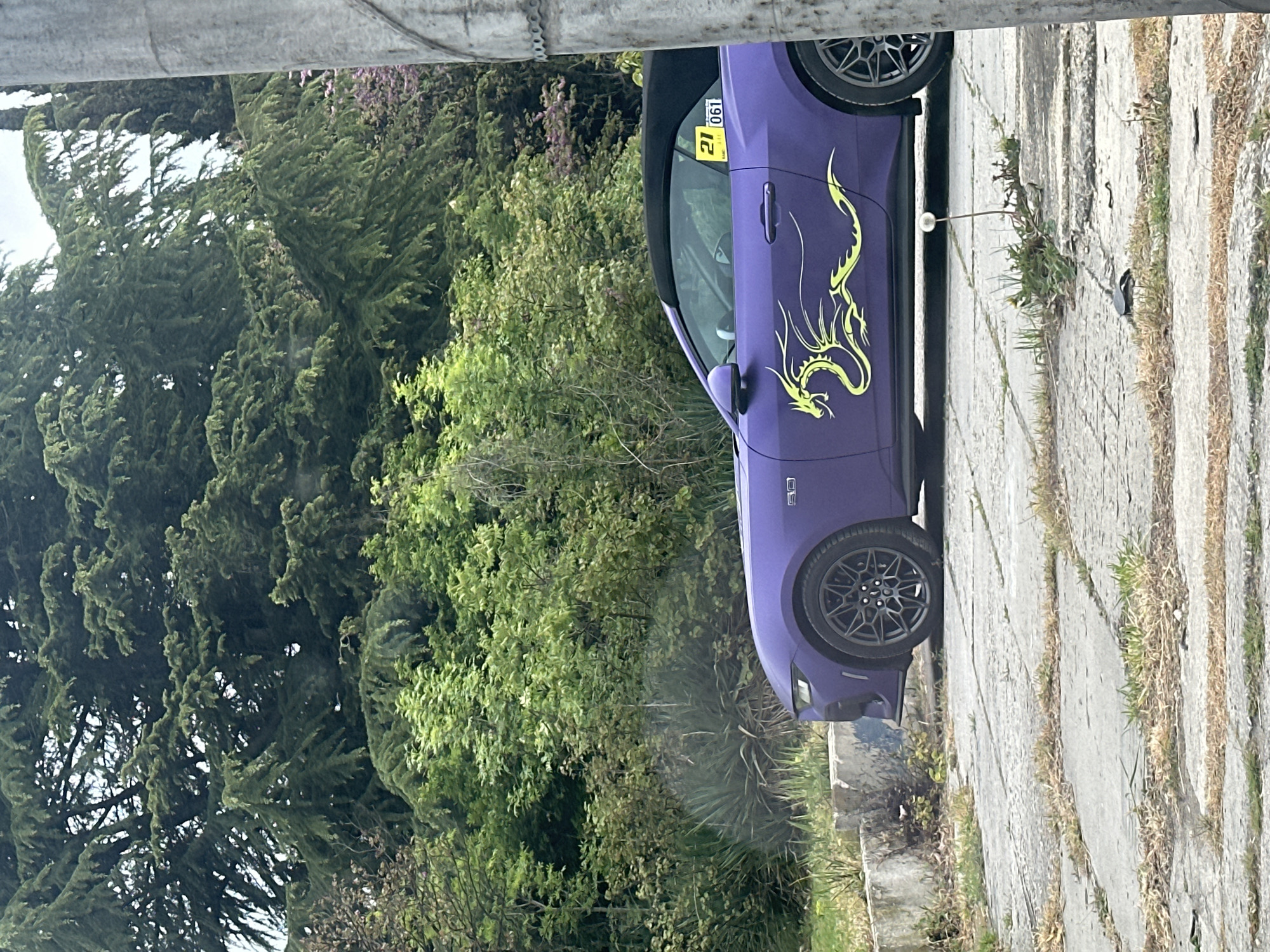 A purple Ford Mustang with a yellow dragon decal on the driver's side is parked on a cracked concrete surface. The car has a yellow sticker on the windshield, possibly indicating a parking permit or inspection. Lush green trees and vegetation fill the background. The location is indeterminate, but is identified as Varna, Bulgaria. No people are visible.