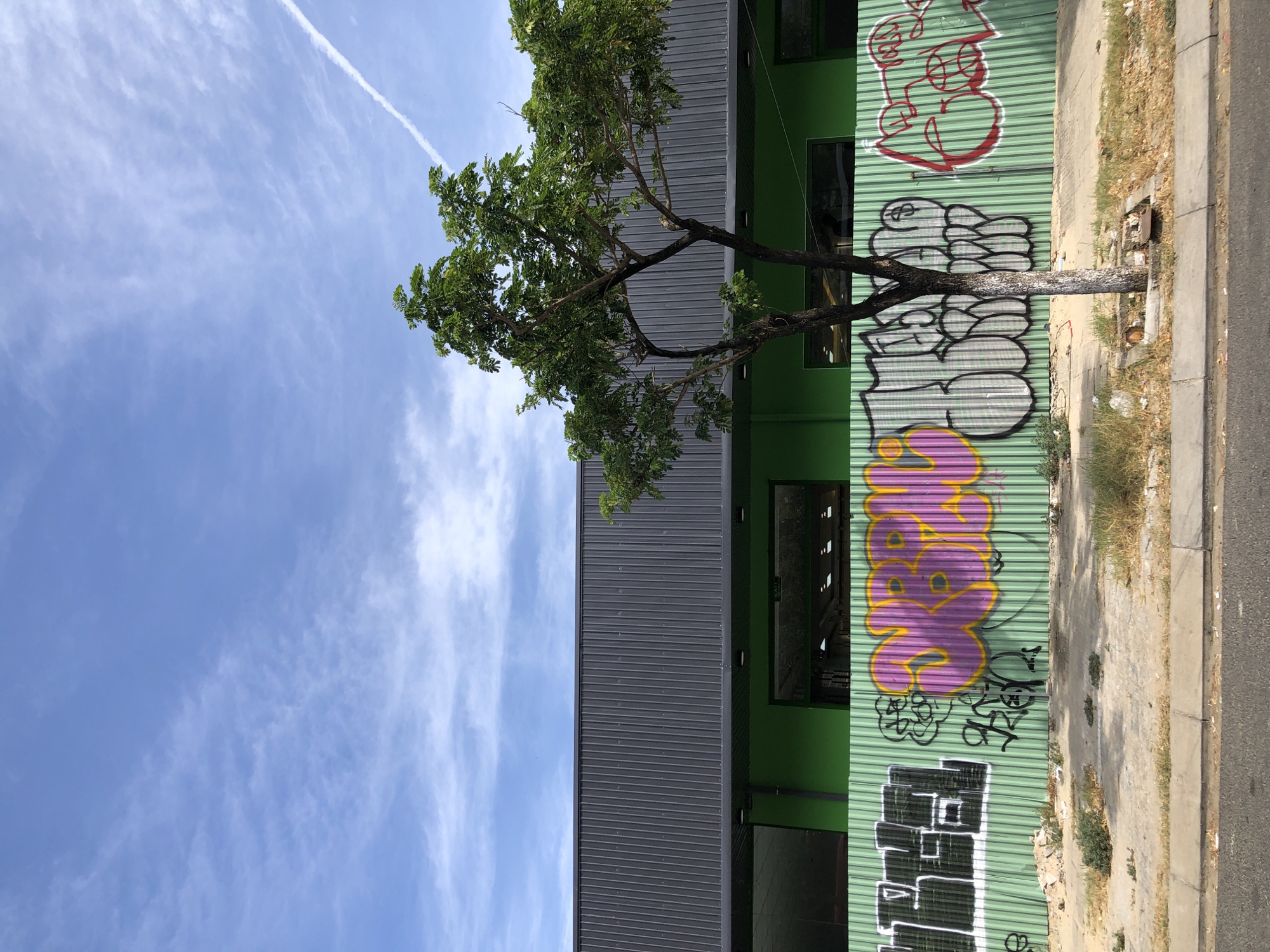 The image depicts a street scene in Da Nang, Vietnam, featuring a modern building with a corrugated metal facade and a bright green lower section. The building is partially obscured by a tall, leafy tree with a slender trunk. In front of the building, a green corrugated metal fence is adorned with vibrant graffiti. The fence spans the width of the frame, with various spray-painted tags and designs in colors like black, white, purple, yellow, and red. The ground in front of the fence is a mixture of dry grass, dirt, and some debris, with a concrete sidewalk and asphalt road in the foreground. The sky above is a clear blue with scattered wispy clouds and a contrail from an aircraft. The overall impression is one of an urban environment undergoing construction or renovation, with elements of street art adding a splash of color and character.