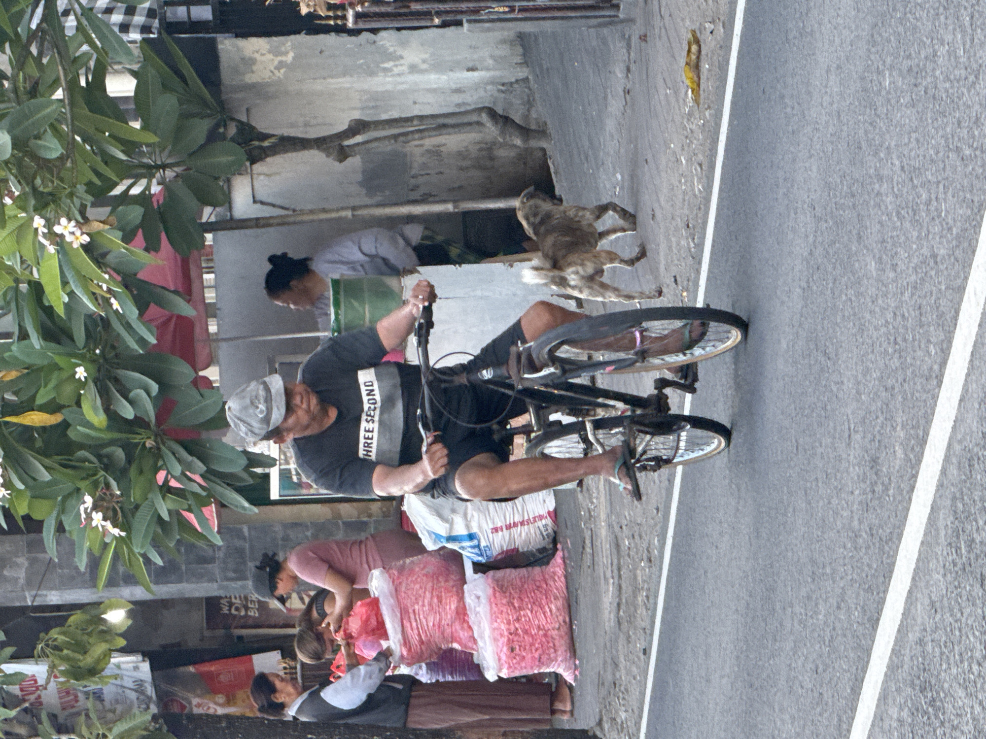 In Kuta, Indonesia, a man in a grey cap and a black t-shirt with the text "THREE SECOND" rides a bicycle on a paved road. He wears black shorts and flip-flops. To his left, several large, pink sacks of goods are piled on the side of the road. Behind the sacks, two women are interacting with each other. One woman, wearing a pink shirt, appears to be handing something to another woman. Further back, a third woman in a light grey top stands near a stall with a green bin. A brown dog walks on the sidewalk to the right of the cyclist. The environment appears to be an outdoor market or street scene, with buildings and vegetation visible in the background. The road is marked with white lines.