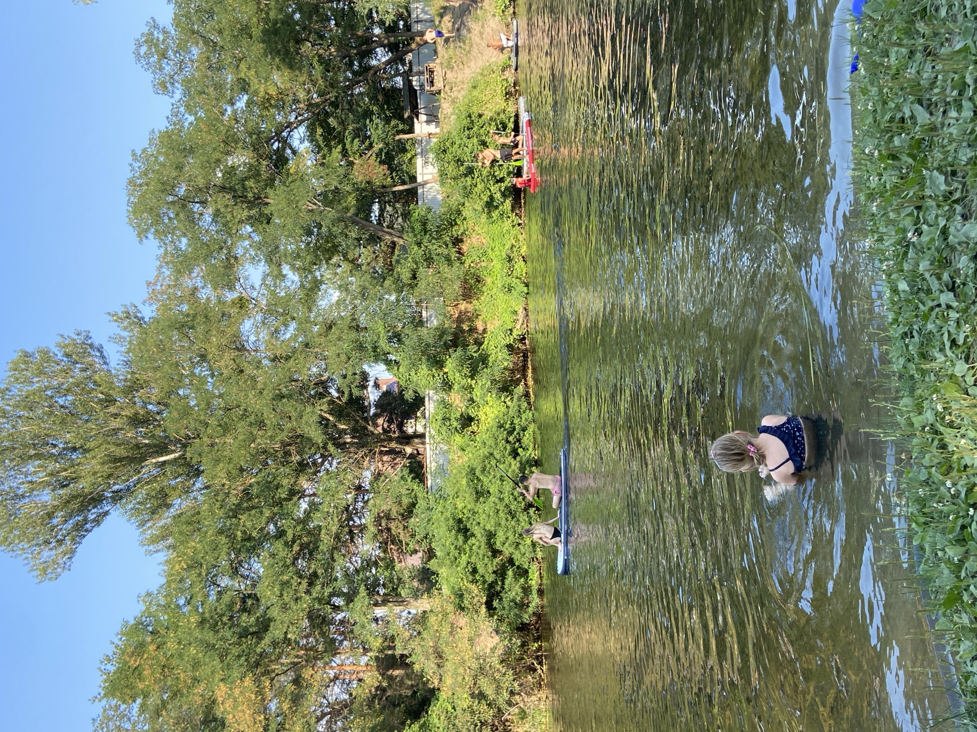 A medium shot captures a group of people engaging in water activities on a calm river, likely in Semianivka, Ukraine. The water is a murky green with ripples reflecting the dappled sunlight. In the foreground, a young girl with blonde hair tied in a pink scrunchie, wearing a dark blue swimsuit with a star pattern, stands waist-deep in the water, facing away from the camera.
Further out on the river, two adults, a male and a female, are paddleboarding. The male, wearing pink swim trunks, sits at the back of the paddleboard, holding a paddle. The female, in a black bikini, sits towards the front. They are positioned to the left of the frame.
To the right of them, closer to the far bank, are two more paddleboards. One has a person in a red life vest and another person standing. Further to the right, another paddleboard is visible with one person on it.
The far bank of the river is lined with lush green trees and dense bushes. A white fence runs along the top of the bank, with some structures visible behind it, including a picnic table and a swing set. The sky is a clear, bright blue. The overall scene depicts a leisurely summer day spent by the river.