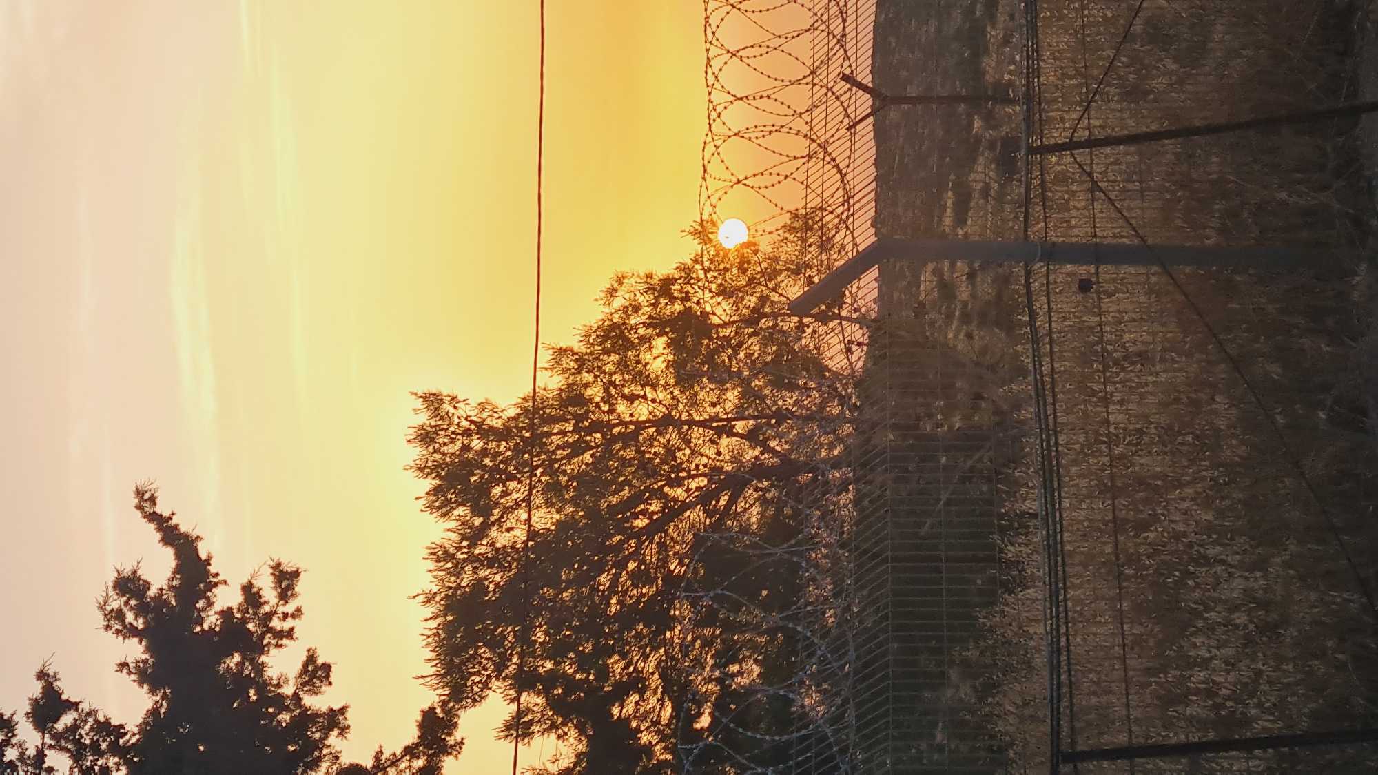 The image captures a sunset near Lachish Regional Council, Israel, obscured by trees and a security fence. The sky is a gradient of yellow and orange. The setting sun is partially visible through the tree branches. A metal fence topped with barbed wire runs vertically on the right. The ground behind the fence appears to be dry.