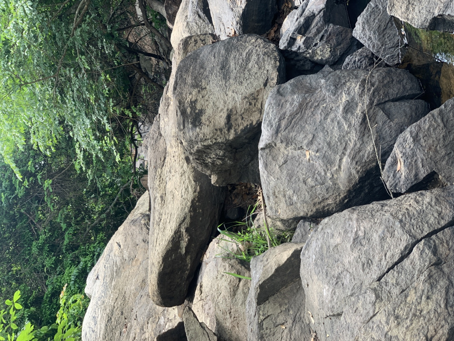 The image shows a close-up view of a rocky area in Egbeda, Nigeria. The location is near a stream or drainage channel. The rocks are large, gray, and weathered. Some of the rocks have moss growing on them. A few small plants grow in the crevices between the rocks. The image was taken from a low angle, looking up at the rocks. A small patch of green foliage can be seen in the top left corner, while a small section of blue sky is visible in the upper right. There are no people in the image. The image was likely taken during the day.