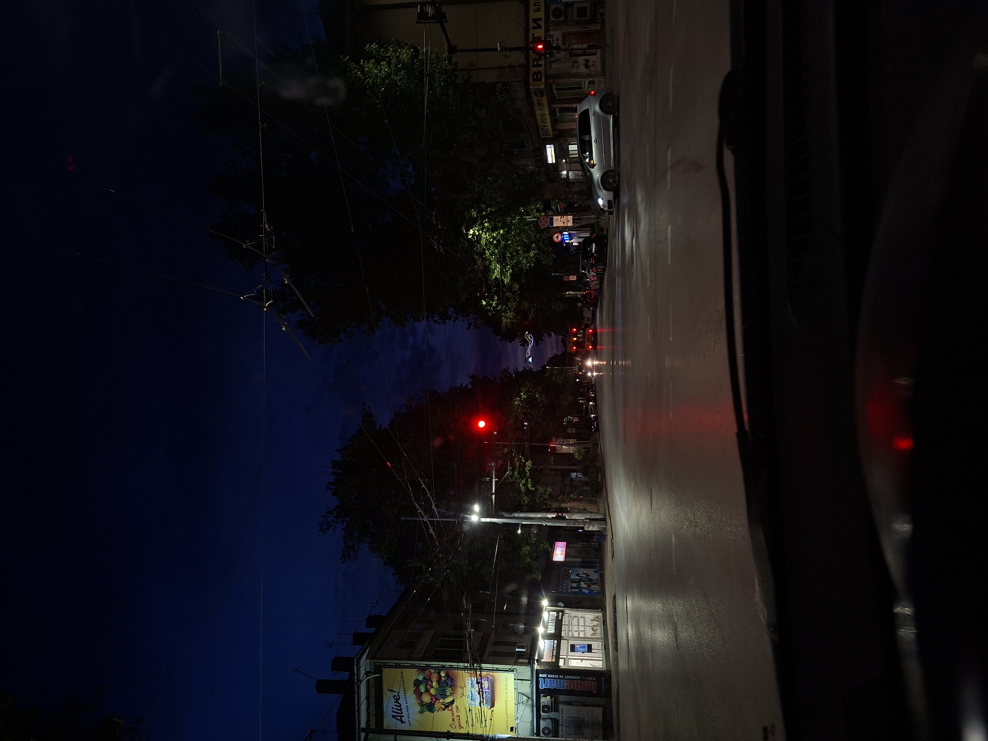 The image presents a nighttime urban scene in Pleven, Bulgaria, viewed from inside a vehicle. The vehicle's interior obscures a portion of the view. A street stretches into the distance, lined with buildings. The sky is a deep blue. Streetlights illuminate the road, and traffic lights are visible in red. A poster for "Alive!" multivitamins is present on the side of one of the buildings. Other businesses, including "Homemart," are visible in the storefronts. A silver car is parked along the road. Trees line the street, their foliage appearing dark against the night sky.