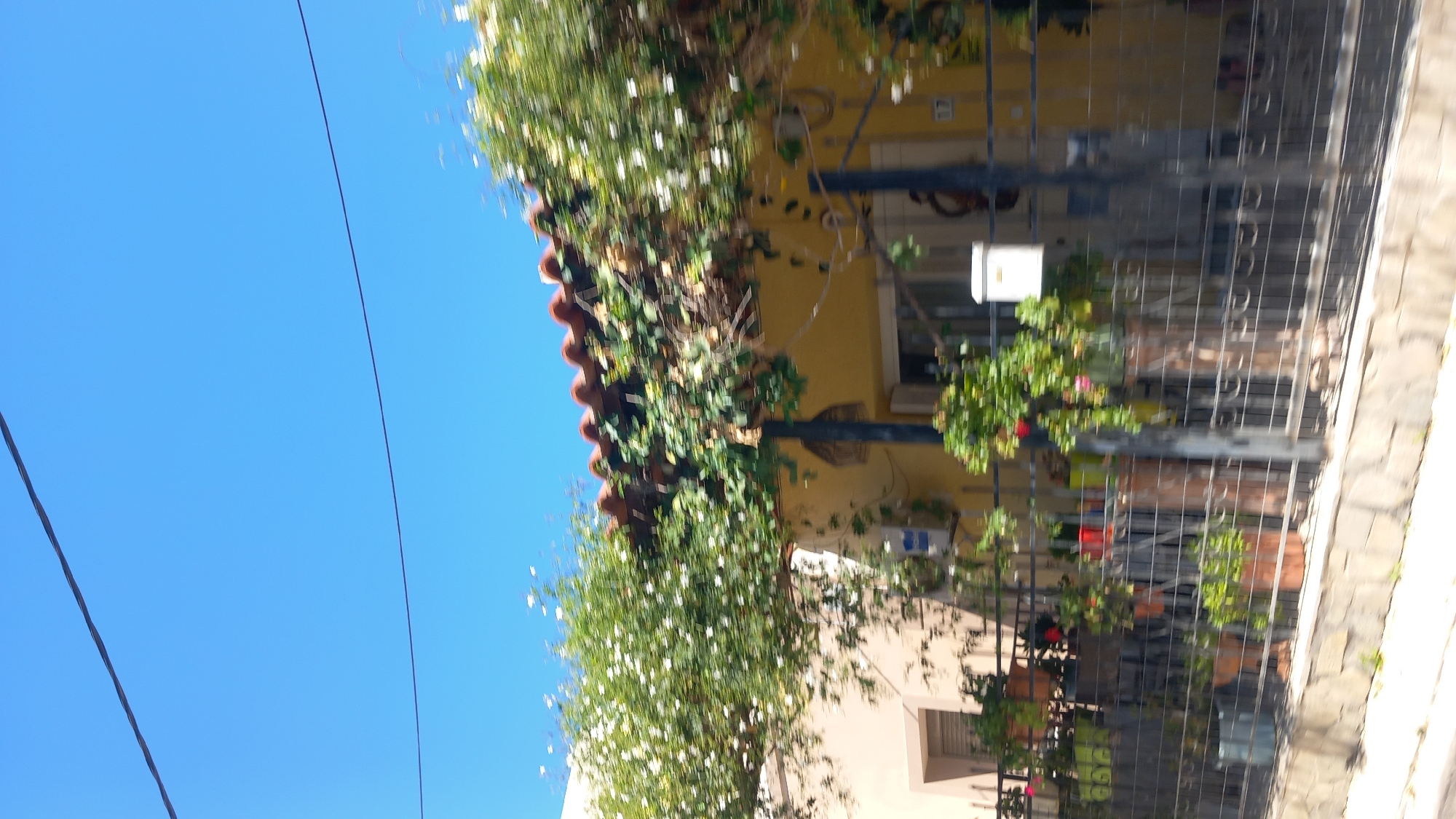 This is a horizontal, medium-shot, eye-level, outdoor photograph taken in Kos, Greece. The image features a yellow house with a red tiled roof, partially obscured by lush green foliage and white flowers cascading over the roof and a trellis. A dark metal fence runs along the front of the property, with various potted plants visible behind it. The sky is a clear, bright blue, with two thin black wires crossing the upper part of the frame. The house has a window with white shutters and a small white mailbox mounted on the wall. There is an air conditioning unit mounted on the exterior wall of the house. The foreground shows a stone wall bordering the property, with the ground appearing to be paved or covered in gravel. The image is slightly blurry, suggesting it was taken from a moving vehicle. No people are visible in the frame.