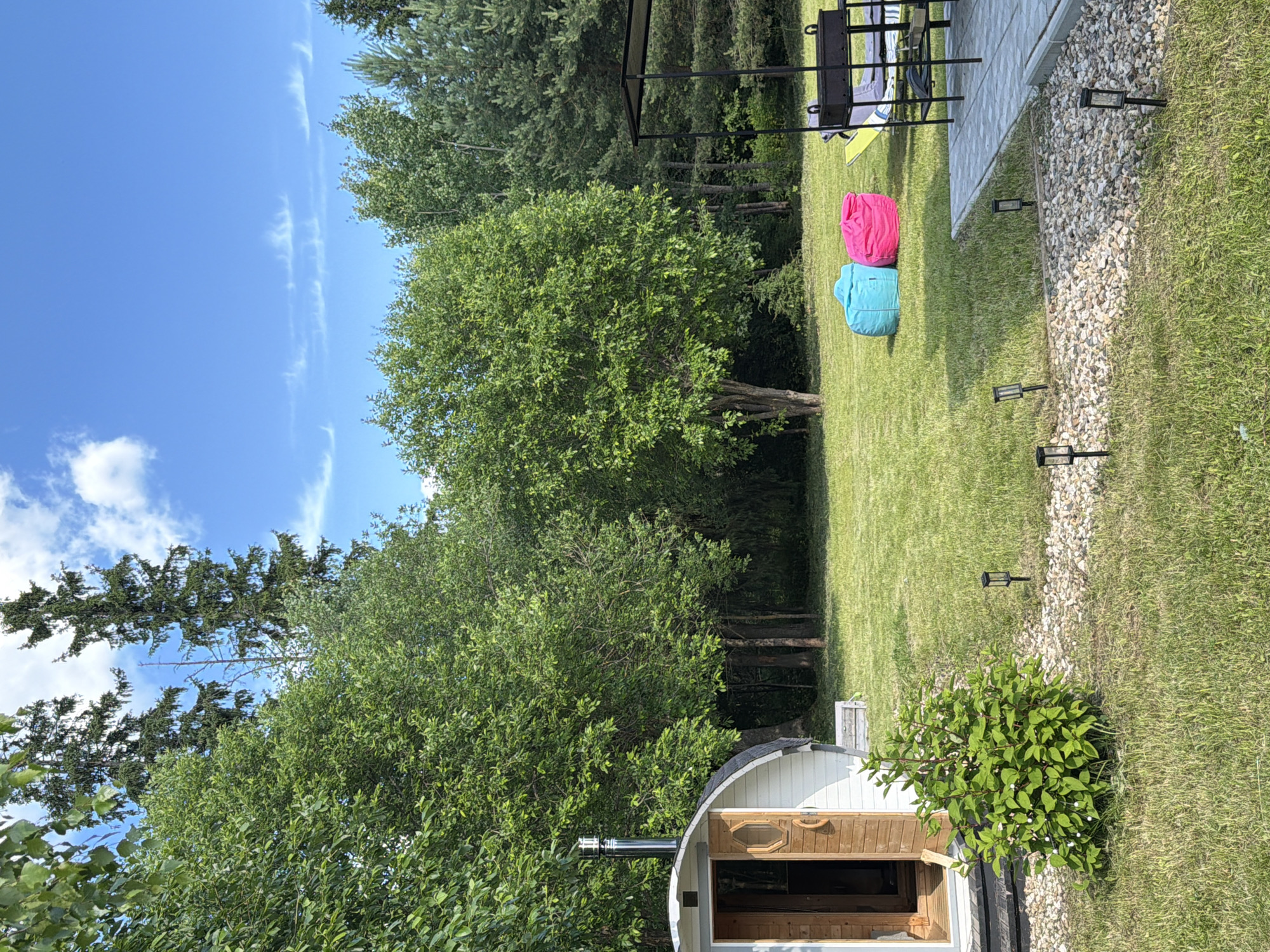 This is a sunny, daytime, outdoor photograph taken in the city of Aleskino, Russia. The scene depicts a backyard or garden area featuring a small, barrel-shaped sauna on the left. The sauna is white with a wooden door and a metal chimney pipe. In front of the sauna, there is a lush green bush and a pathway made of light-colored pebbles. Several small, black solar-powered garden lights are placed along the pathway.
In the middle of the lawn are two large, colorful beanbag chairs, one bright pink and the other turquoise. Further to the right, there is a black metal barbecue grill structure with a canopy. A portion of a paved patio area is visible in the foreground on the right, with a grey stone-like surface.
The background is dominated by a dense line of various green trees, creating a natural, forested backdrop. The sky is a clear bright blue with a few scattered white clouds, suggesting good weather. The overall impression is one of a tranquil, recreational outdoor space. There are no people visible in the image.