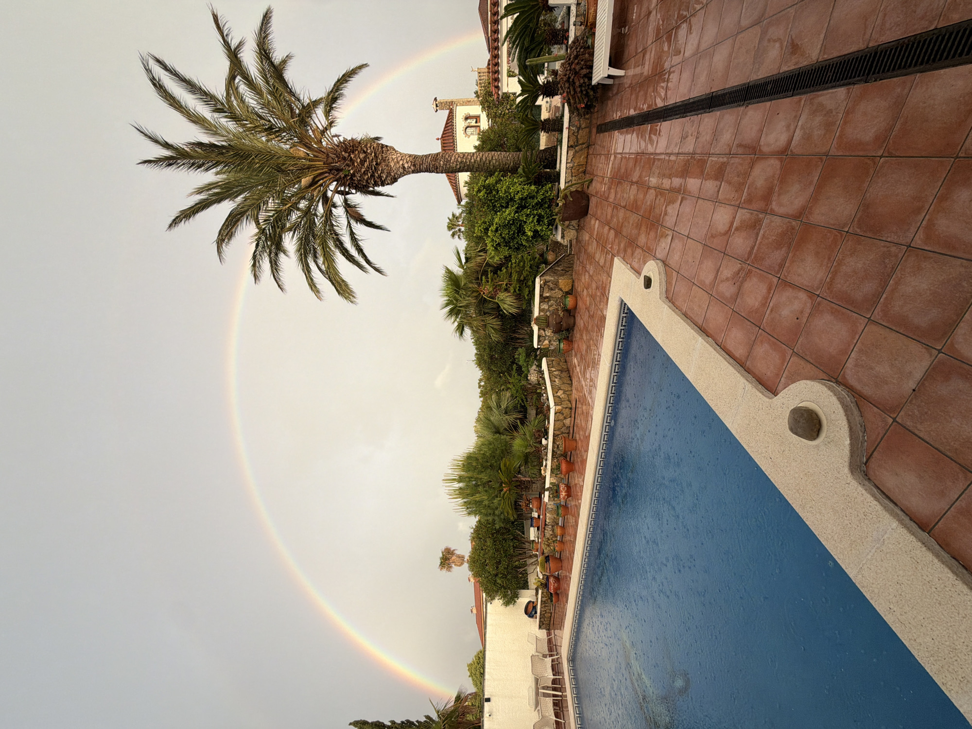 The image captures an outdoor scene in Mont-roig del Camp, Spain, featuring a swimming pool, palm trees, and a vibrant rainbow. The pool, filled with blue water and showing signs of rain, is surrounded by a tiled area. A drainage grate is also visible. The background showcases a variety of lush green trees and vegetation, adding depth to the scene. A tall palm tree stands prominently on the left side of the image, its fronds reaching towards the sky. A rainbow arches across the sky, further enhancing the picturesque setting. Buildings with Spanish architectural styles are seen behind the trees. The scene suggests a tranquil atmosphere, potentially capturing a moment after a rain shower.