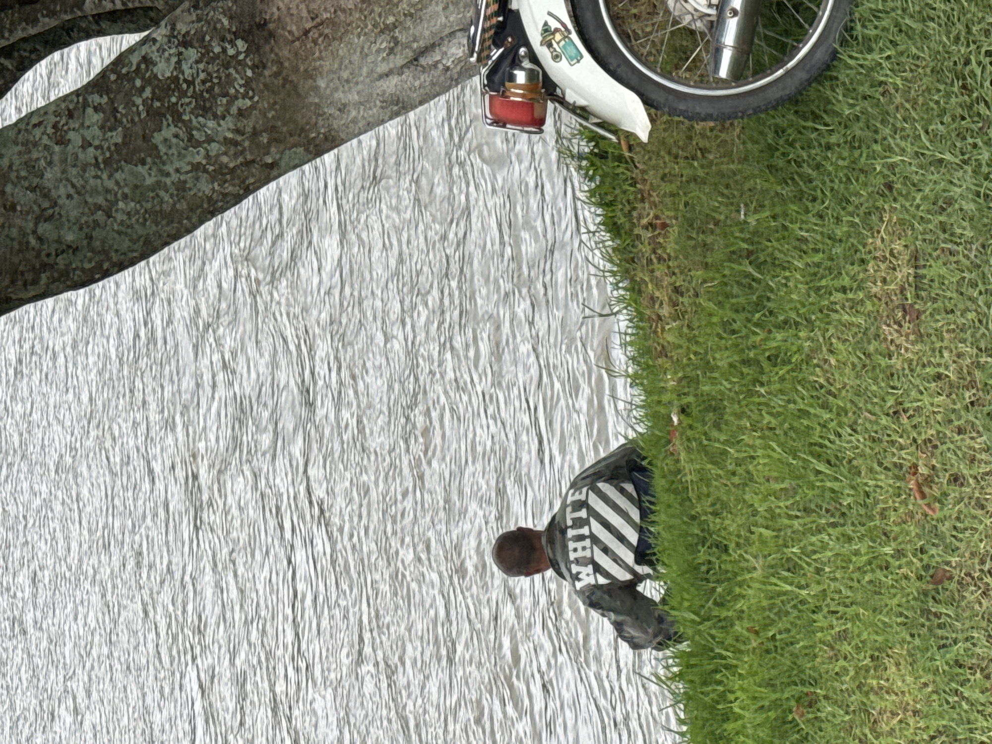 The image portrays an outdoor scene, likely in Da Lat, Vietnam, featuring a person by a body of water with a motorcycle nearby. A person, viewed from behind, is the central subject, positioned on a grassy bank and appearing to sit or kneel while facing a large expanse of water. They are wearing a dark jacket adorned with white diagonal stripes and the word "WHITE" boldly printed on the back.
To the right of the person, a verdant green grassy area extends, showing variations in texture and growth. Partially visible behind the person, higher up on the grassy bank, is the front portion of a motorcycle or scooter. It features a black tire with silver spokes, a white fender with small decorative stickers, and a small, red, cylindrical container attached near the front.
The left and bottom sections of the frame are dominated by a body of water, possibly a lake or river. The water's surface is highly textured with numerous shimmering ripples, reflecting ambient light brightly. In the upper left corner, a section of a tree trunk or large branch, with rough, textured bark, enters the frame.
The scene takes place during daylight hours, indicated by the bright, diffused lighting and the reflective quality of the water. The weather appears calm, possibly overcast, with no harsh shadows visible. The overall impression is one of quiet contemplation or relaxation by the water's edge.