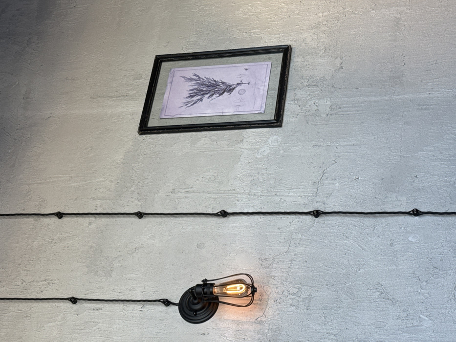 An interior wall in Shlisselburg, Russia, presents a light grey, textured surface. Mounted on the left is a black, industrial-style wall sconce featuring a wire cage, within which an Edison-style filament bulb emits a warm orange light. Two vertical runs of exposed black braided electrical cable, secured at intervals by dark, ornate metal cleats, ascend the wall; one cable leads to the sconce. To the right, a rectangular picture with a dark, distressed frame hangs, enclosing a botanical illustration on a light purple background. The illustration depicts a multi-branched plant specimen, accompanied by smaller schematic drawings below it.