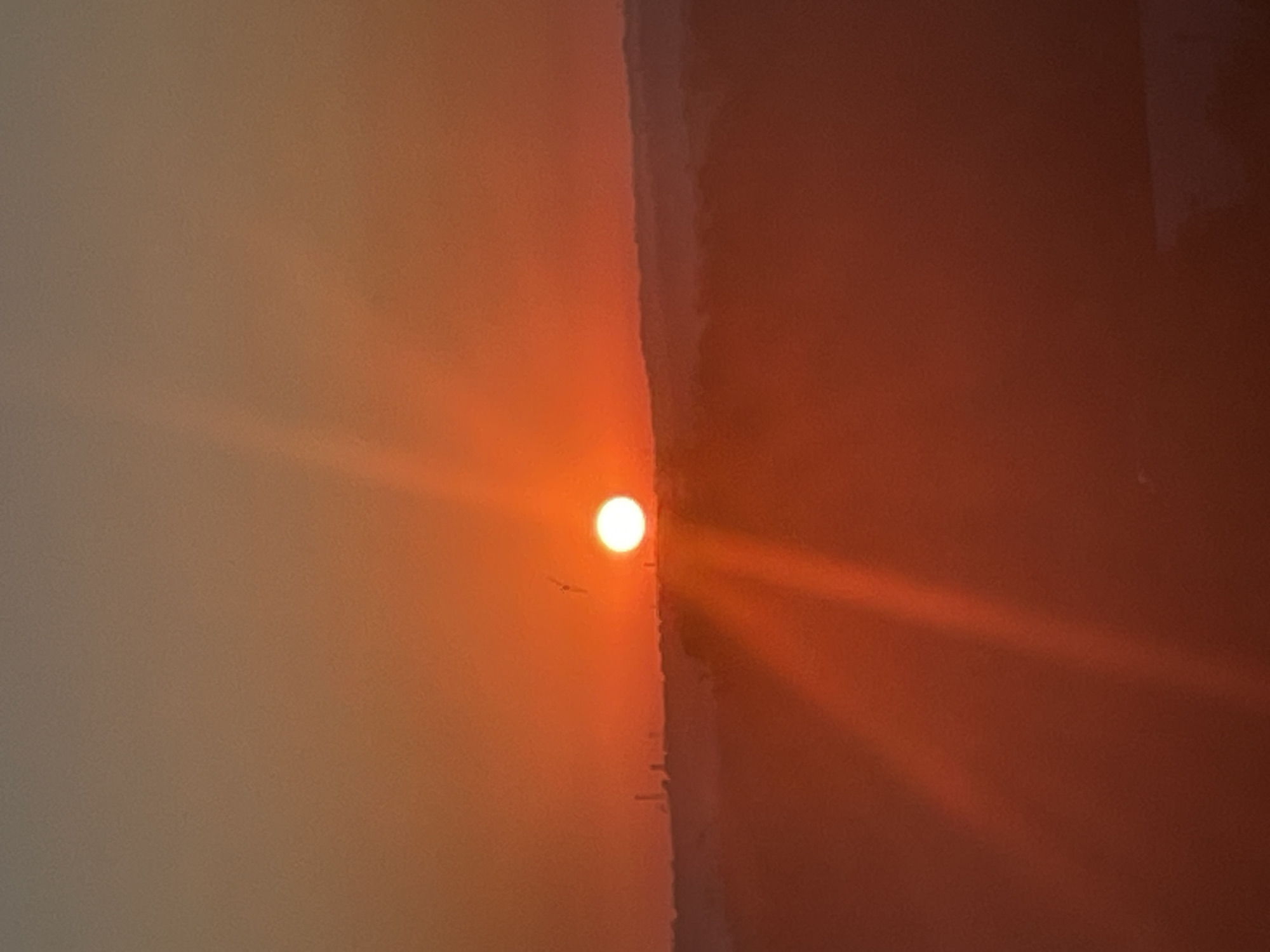 This is a photograph taken at sunset in Novocherkassk, Russia. The sun, a bright orange orb, is low in the sky, casting a warm glow across the scene. The sky transitions from a pale orange near the horizon to a muted tan at the top of the frame. In the distance, a hazy silhouette of the city's skyline is visible, with several industrial structures protruding above the treeline. The foreground is dominated by dark, blurred shapes, likely trees or rolling hills, which are illuminated by the sun's rays, creating a dramatic lens flare effect that streams across the image. A small, dark object, possibly a bird, is visible in flight near the sun.