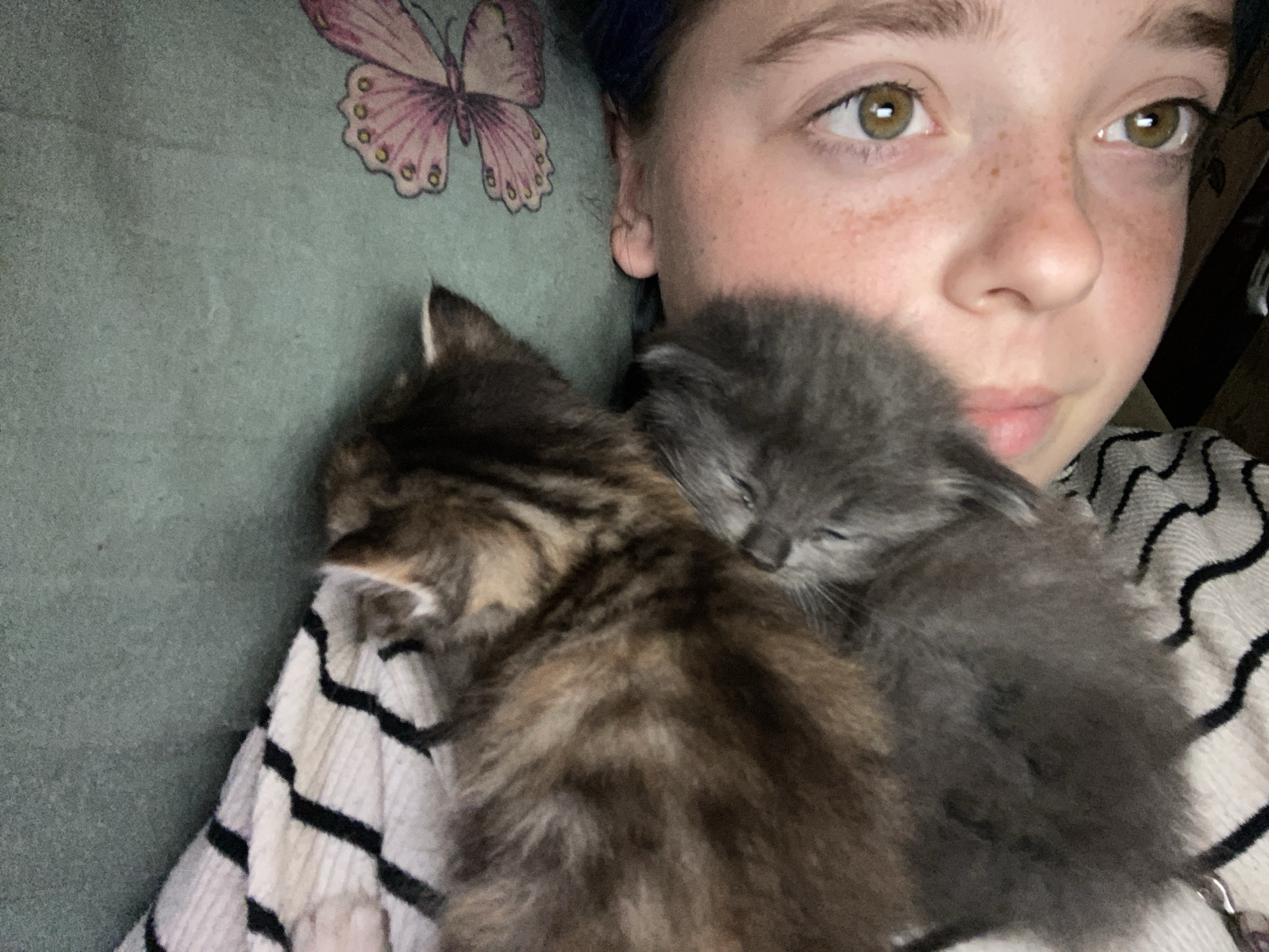 In a close-up, low-angle shot, a young person with light skin, freckles, and brown eyes is nestled with two kittens. The person is wearing a striped shirt. To the left of the person, on a teal fabric background, is a pink butterfly graphic. The kittens are a tabby and a grey one. The tabby kitten is partially obscured by the grey kitten. The scene appears to be indoors, on a soft surface, possibly a bed or sofa. The image does not contain any information about the city of Nova Praha, Ukraine.