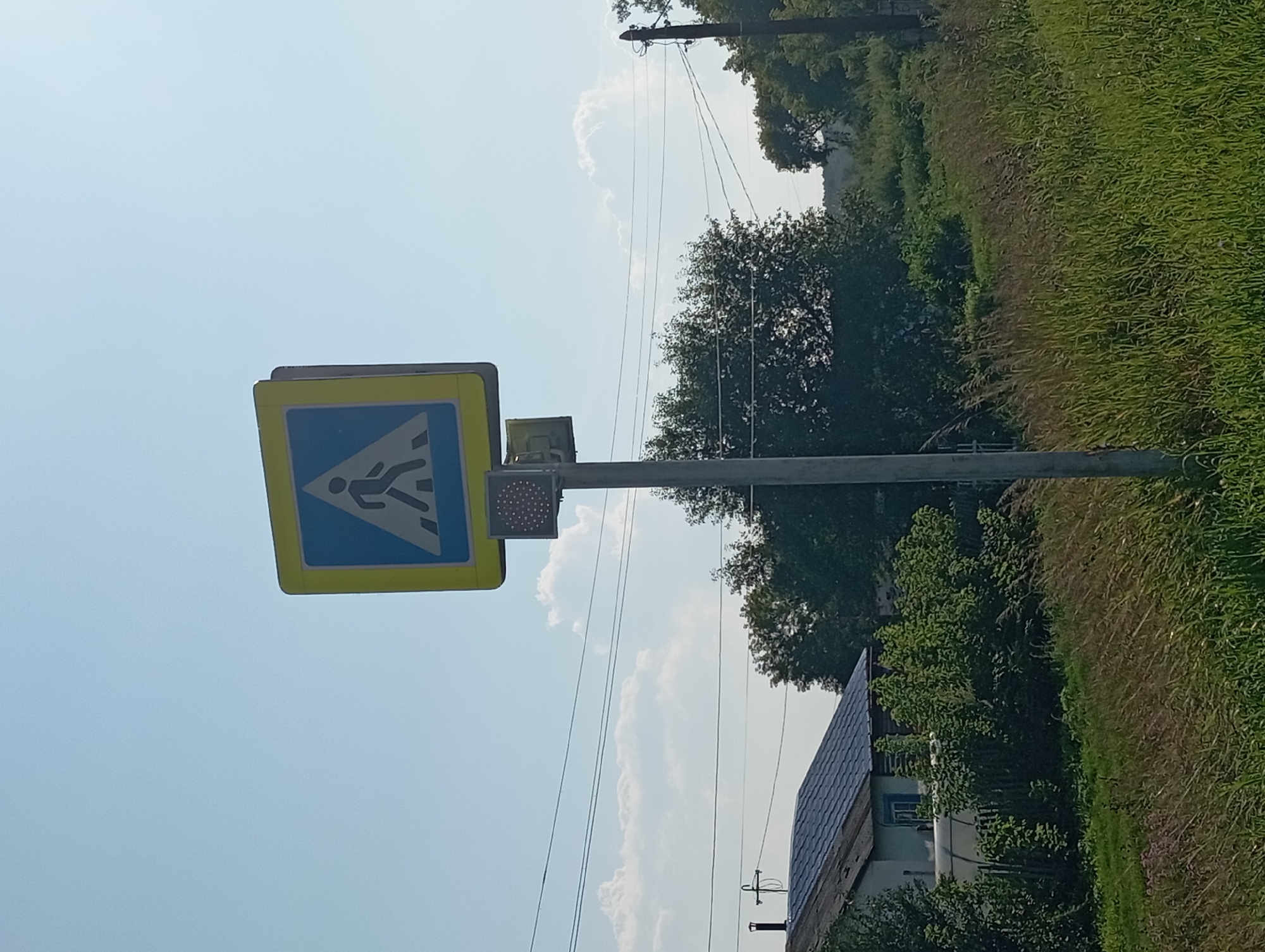 A pedestrian crossing sign is mounted on a metal pole in a rural setting. The sign itself is a yellow square with a blue inner square, depicting a pedestrian figure walking across stripes. Below the sign is a smaller rectangular unit with a grid of red lights, likely indicating a flashing warning for the crossing. The pole is positioned in front of a background of trees and sky, with a house and power lines visible in the distance. The overall scene suggests a roadside in the village of Novokopylovo, Russia.