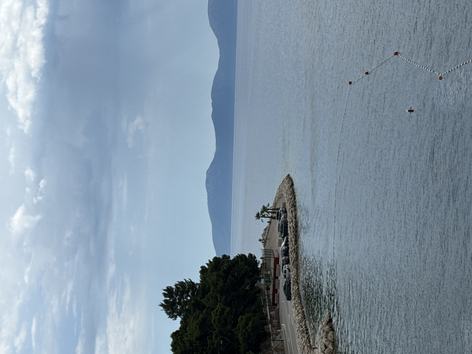 The image captures a coastal scene in Drvenik, Croatia, on a cloudy day. In the foreground, the calm sea is visible, with a line of white buoys dotted with red markers extending diagonally into the water. A person is swimming or wading in the sea near the buoys. Along the left side of the image, a rocky shoreline meets a paved road. Several cars are parked along the road, which curves around a small, semi-circular bay. Behind the road and parking area, a dense cluster of dark green pine trees grows up a slope. In the distance, the blue silhouettes of mountains are visible against the hazy sky. The overall atmosphere is serene and slightly overcast.