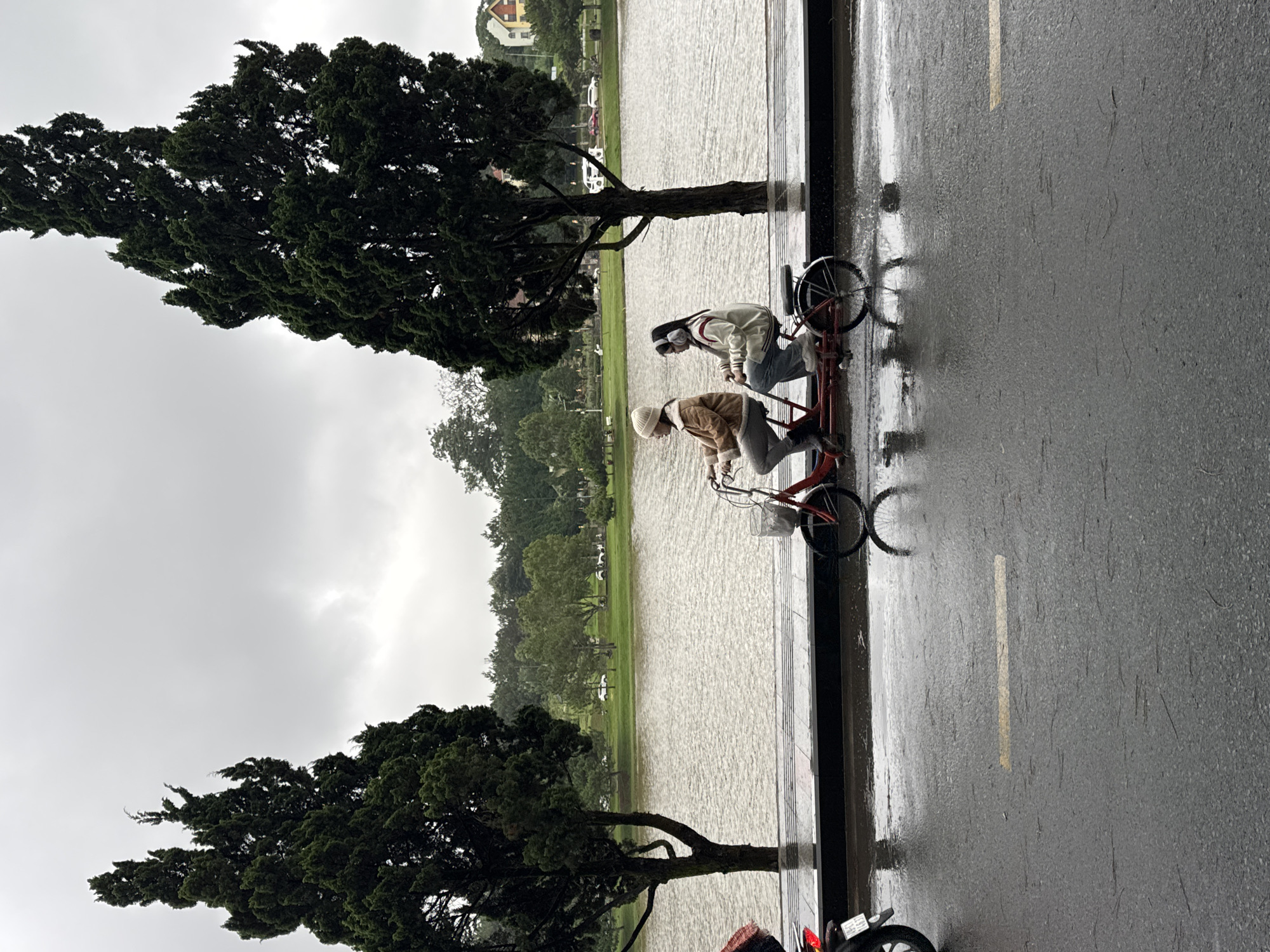 The image captures a cool, overcast day, likely by Xuân Hương Lake in Đà Lạt, Vietnam. The scene is dominated by a wet, paved road and a large body of water, with visible signs of recent or ongoing rainfall.
In the foreground, two individuals are riding a red tandem bicycle along the glistening asphalt road. The person in front is dressed in a light-colored beanie and a brown, textured jacket, leaning into the handlebars. Behind them, the second rider wears a white and grey jacket, possibly with headphones or a hood up, also gripping the handlebars. The tandem bicycle features a small basket mounted on the front.
To the left of the road, a tall, dark green coniferous tree with dense foliage stands prominently, reflected faintly on the wet surface. Another similar tree is visible further in the distance along the lake's edge. The lake itself stretches across the midground, its surface showing ripples consistent with falling rain, and reflecting the muted light of the overcast sky.
On the opposite shore, a strip of green grass leads to a line of trees, with a few white cars and distant buildings, including a house with a reddish roof, discernible through the haze. The sky is uniformly grey, indicating a heavily clouded day. A faded yellow line is painted on the wet road. The overall atmosphere suggests a leisurely outing amidst damp, cool weather conditions. No visible text is present in the image.