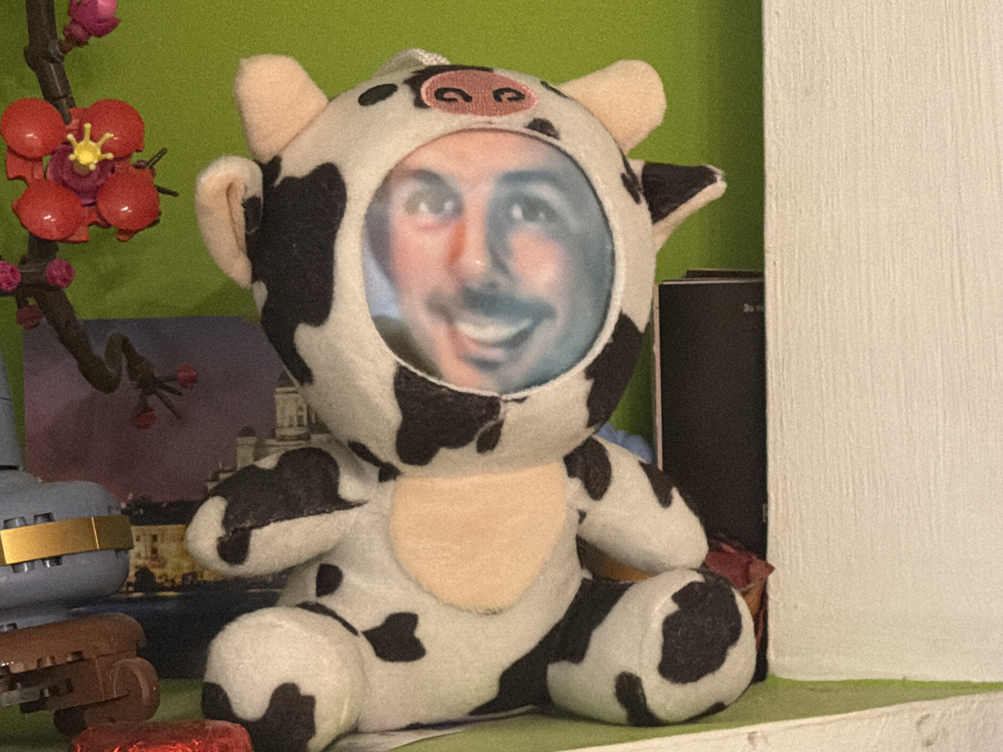 The image displays an indoor scene centered around a plush cow toy. The toy is predominantly white with irregular black patches, featuring a pink snout and small, upright ears. Its face contains a clear, circular plastic window, behind which a smiling male human face with a mustache is visible, suggesting a photographic insert. The toy is positioned on a flat, light green surface. To the left of the toy, a green wall acts as a backdrop, partially obscured by a dark, branching decorative element adorned with multiple red and pink stylized flowers. Further left, a grey object with a horizontal gold band and a textured brown object are partially visible. In the distant background, a blurred image resembling an illuminated building or castle against a dark sky is discernible. To the right of the toy, a vertical, textured white surface, consistent with a wall or piece of furniture, occupies the frame, with a dark rectangular object partially obscured between it and the toy. A small red object lies partially obscured in the lower-left foreground. The scene is illuminated by ambient light. The location is an indoor environment within the city of Sofia, Bulgaria.