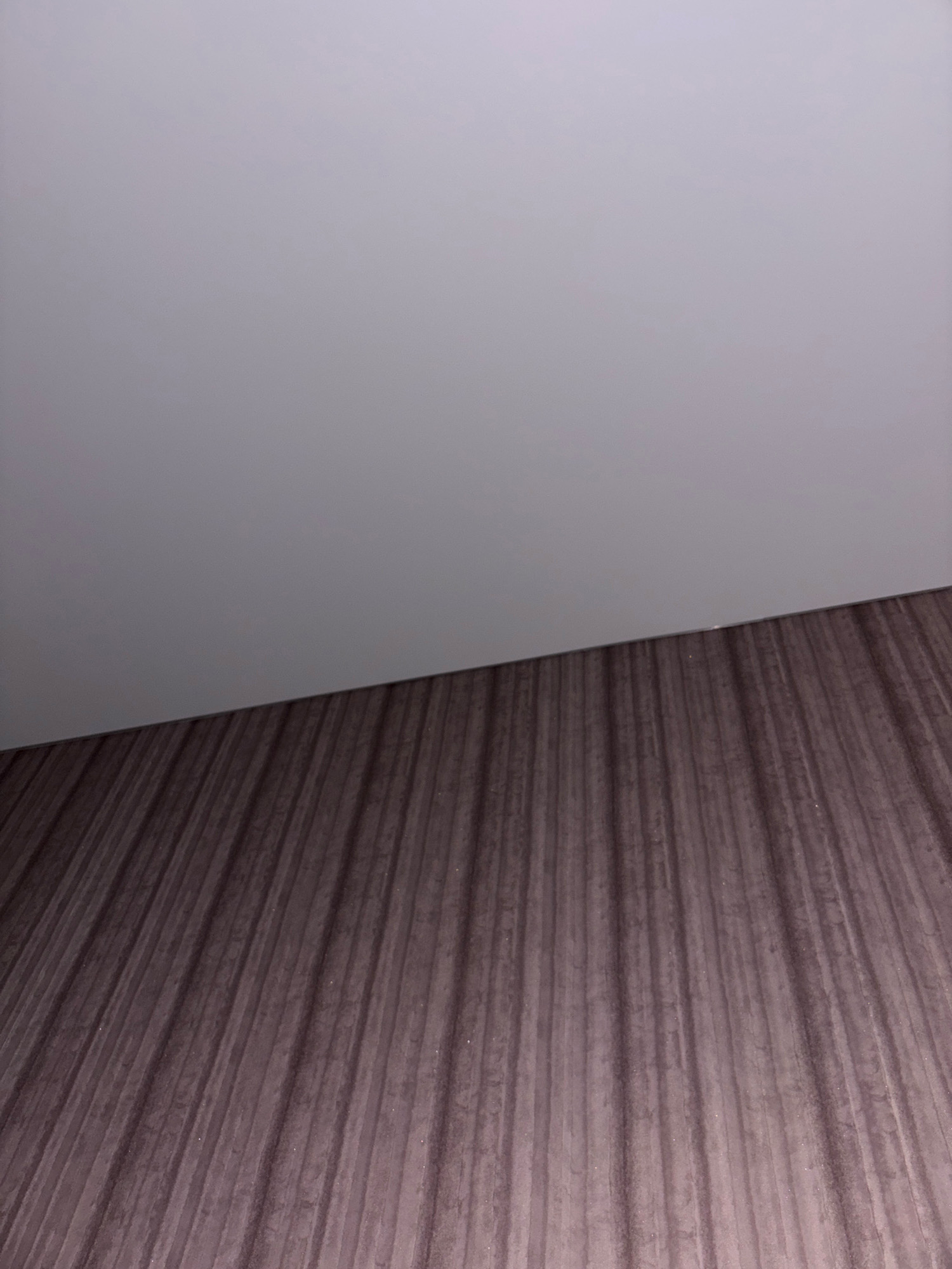 The image depicts a close-up view of a wall meeting a floor. The wall is a smooth, pale gray surface that occupies the upper portion of the frame. The floor, visible in the lower portion, has a dark, textured pattern resembling wood grain with vertical lines. The lighting appears to be from above and slightly to the left, casting subtle shadows that accentuate the texture of the floor. There are no people, animals, or specific objects clearly identifiable in the scene. The environment appears to be indoors, possibly a room or hallway, characterized by its minimalist and clean aesthetic. There is no information within the image itself to determine its location in Rechytsa, Belarus.