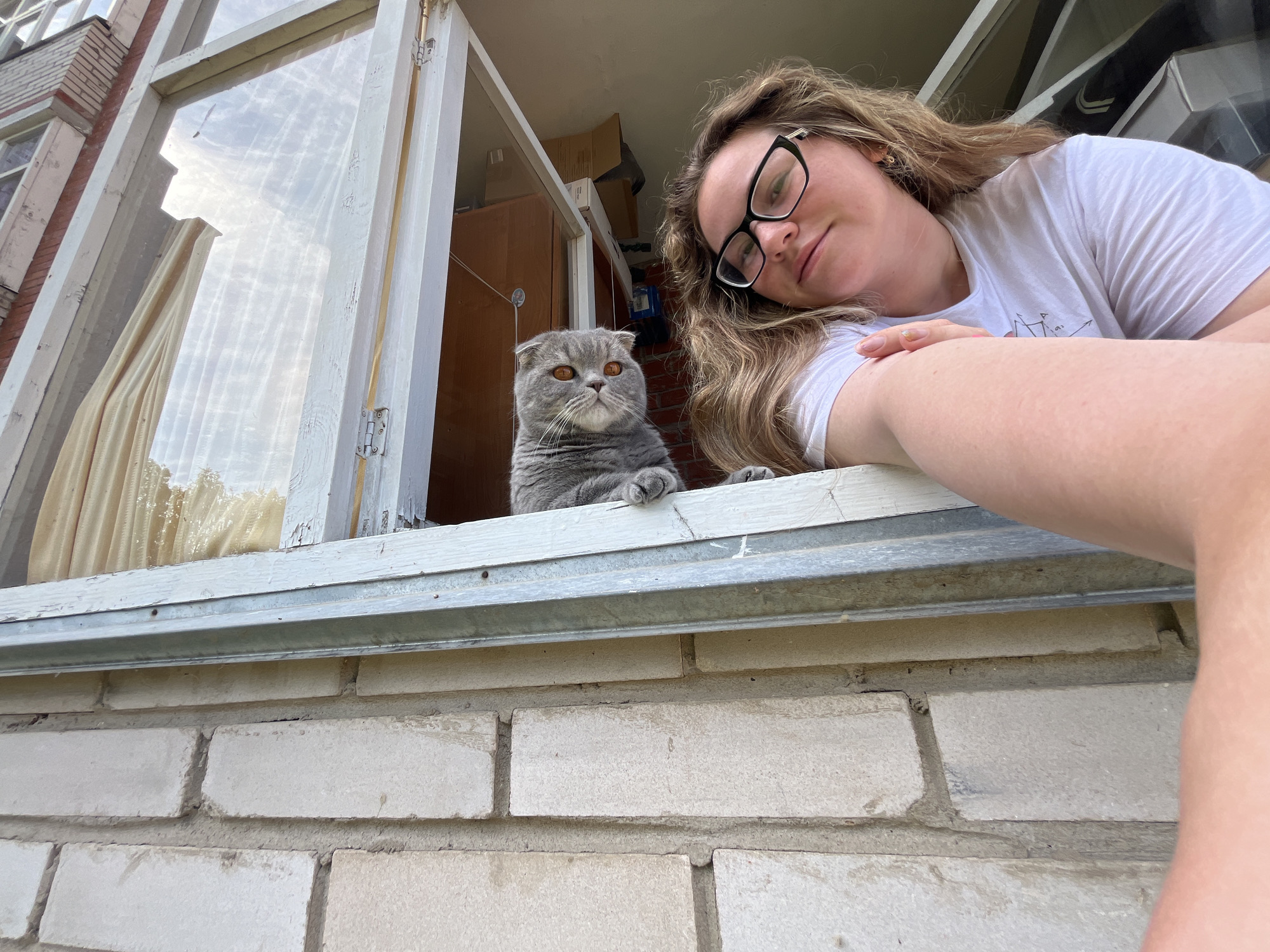 A low-angle shot captures a woman and a gray Scottish Fold cat positioned at an open window. The woman, wearing black-framed glasses and a white t-shirt, leans into the frame, extending her right arm to take a selfie. She has long, wavy blonde hair and a relaxed expression with a slight smile. The cat sits on the window sill, peering forward with striking bright orange eyes and its characteristic folded ears. Its paws are visible on the sill.
The perspective is from below, looking up towards the subjects. Below the window, a light-colored brick wall with visible mortar lines forms the exterior. The window frame itself is white wood, showing signs of wear and peeling paint. Through the open window, the interior of a room is visible, featuring wooden furniture, shelves, and several cardboard boxes. Reflections in the window panes show a cloudy sky, indicating daytime. The general ambiance suggests a residential setting, possibly an older building, in line with the Chaikovsky, Russia context. There is no discernible text visible in the image.
