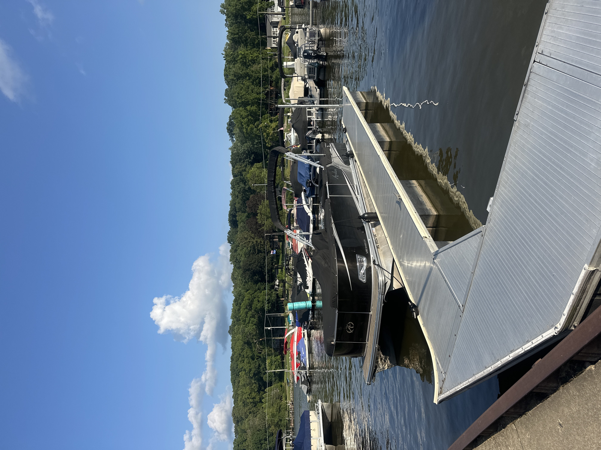 The image shows a view of a marina on a sunny day with a clear blue sky and some white clouds. Several pontoon boats and other watercraft are docked in the water. In the foreground, a silver aluminum dock extends from the left edge of the frame. A black pontoon boat is docked to the right of the dock, with its cover on. In the background, more boats are visible, including some with red and blue hulls, and several jet skis. A line of trees forms the background along the shoreline, with some houses and power lines interspersed. The water is calm, with reflections of the sky and boats visible. The location is the Fox River in Algonquin, Illinois.