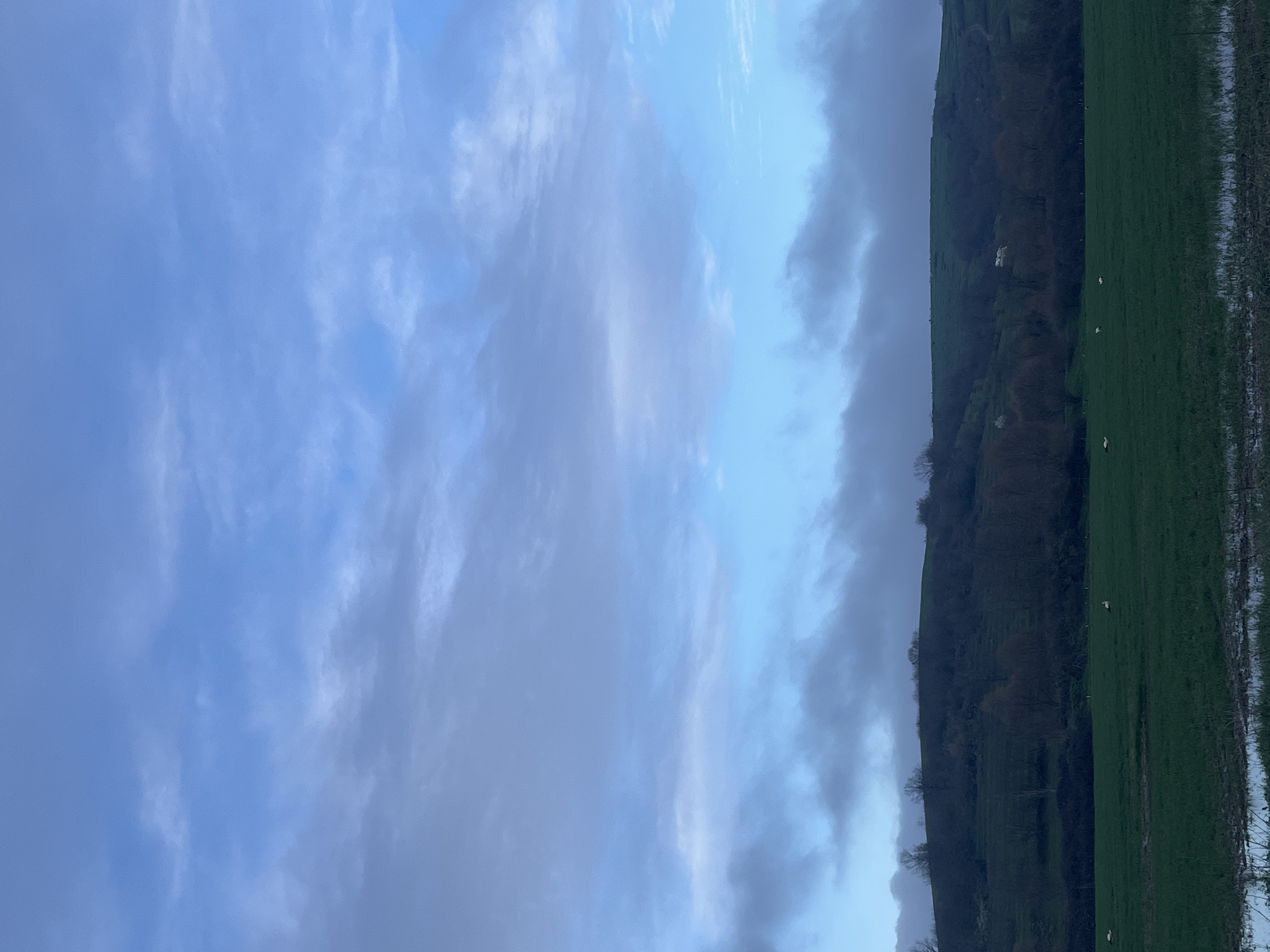 The image presents a landscape with a dominant sky, filled with varying shades of blue and cloud formations. The right side of the image reveals a green field adjacent to a dark, wooded hillside. Scattered white objects, potentially sheep or birds, are sparsely distributed on the hillside and in the field. There are no apparent signs to indicate that this scene is located in Gabar, Bulgaria. There is no evidence of human activity or interaction in the scene.