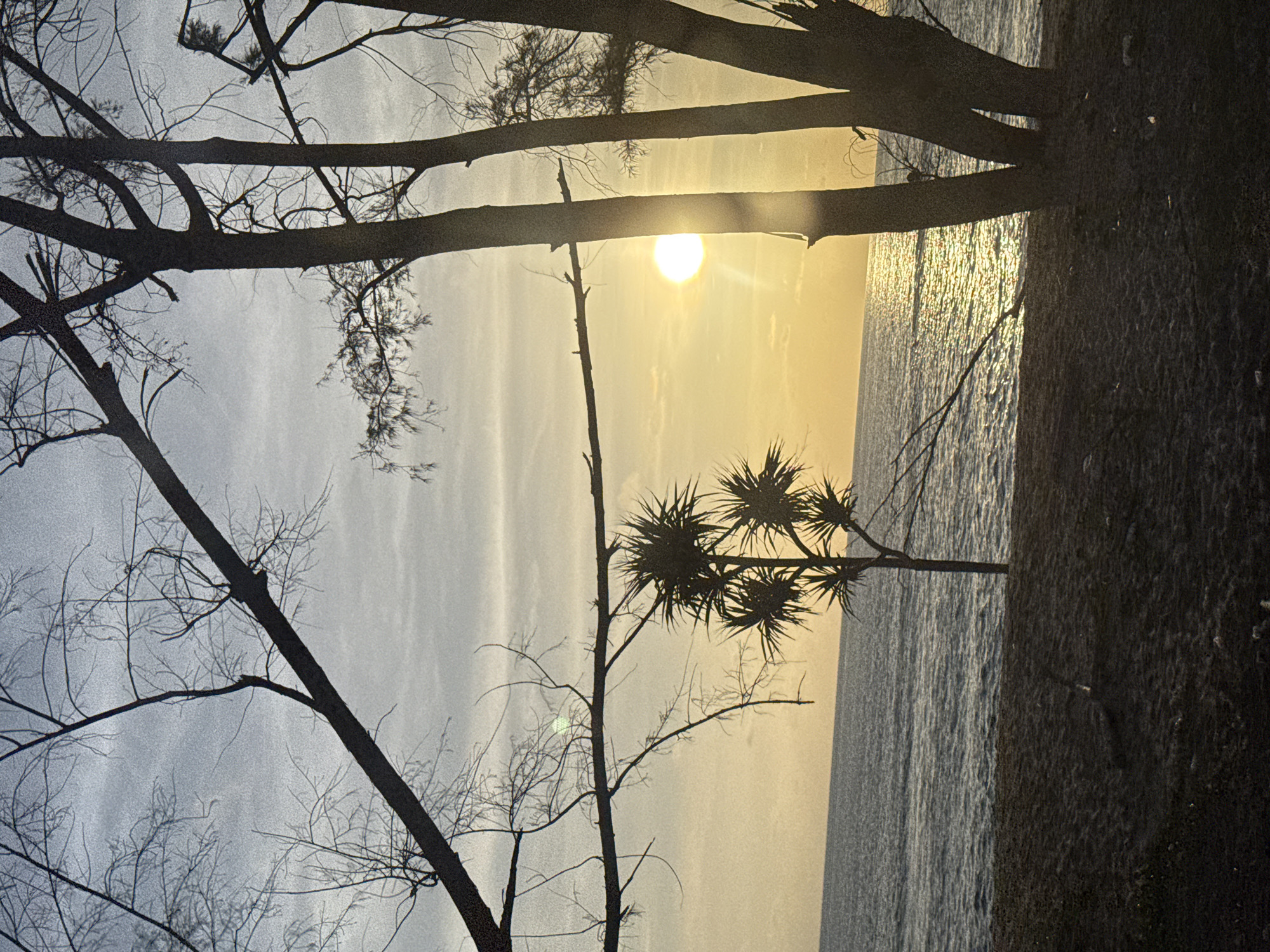 This is a photograph of a sunset scene at a beach in Ban Tha Chat Chai, Thailand. The image captures a tranquil moment with the sun low on the horizon, casting a warm glow over the ocean. Bare tree branches and silhouettes of palm-like trees frame the view of the water, which gently laps against a dark, sandy shore. The sky is a soft gradient of blues and yellows, with wispy clouds adding texture. The overall impression is one of natural beauty and peacefulness.