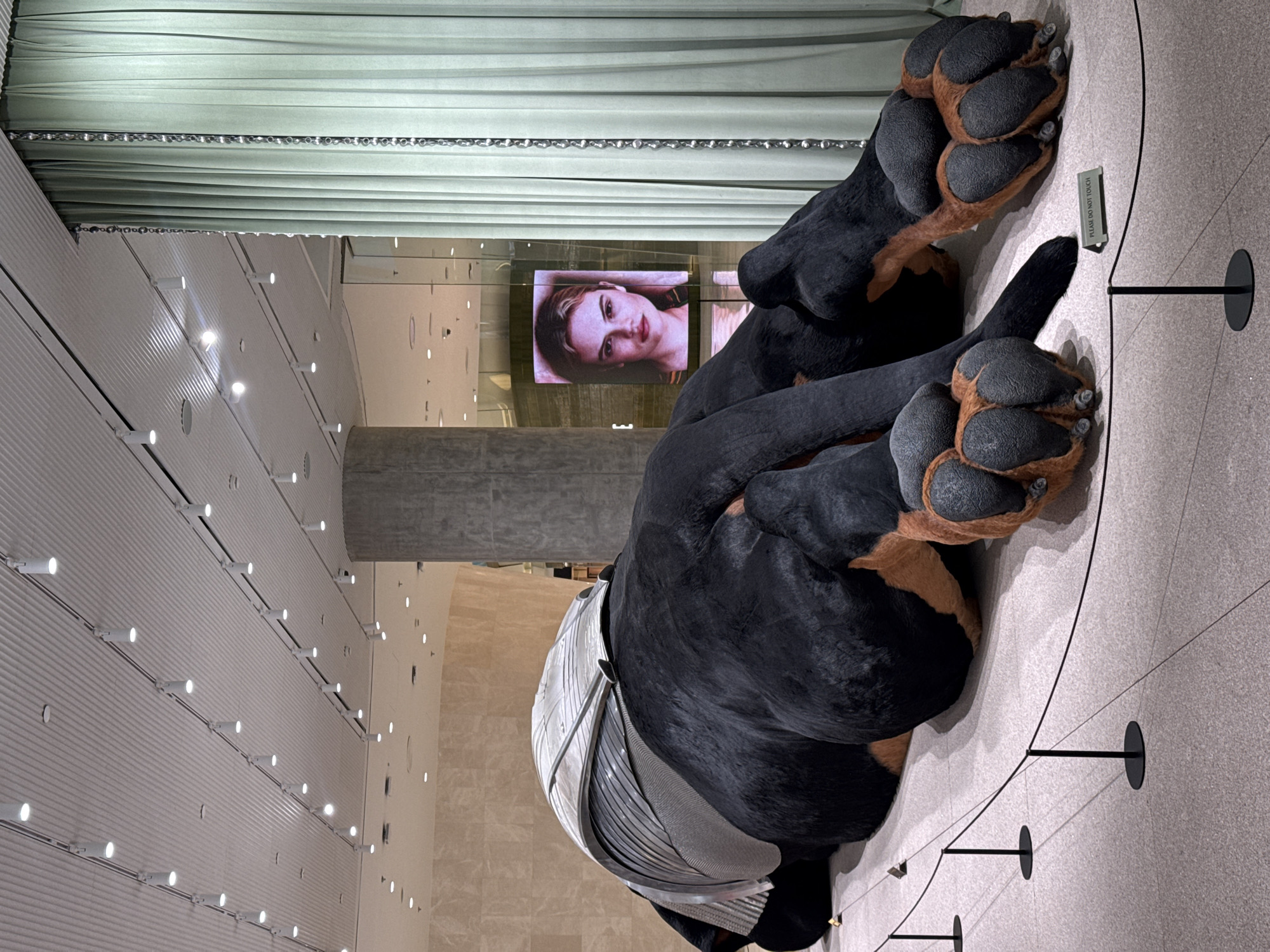 This is a photograph of a large, inflatable sculpture of a dog, likely a Rottweiler due to its coloring, lying down on a polished floor. The dog is black with tan markings on its legs and paws, and has large, exaggerated paws. It is adorned with a silver, metallic, ridged structure on its back, resembling some sort of armor or decorative piece. The sculpture is roped off with stanchions and black cords, indicating it is an exhibit.
In the background, there is a large, light green curtain hanging from the ceiling. To the right of the curtain, a digital screen displays a close-up portrait of a young woman with blonde hair and light skin, wearing makeup. Further in the background, the ceiling features a grid of lights. A large, cylindrical concrete pillar is visible to the left of the dog sculpture. The floor appears to be a light-colored, speckled terrazzo.
This scene is located at the Siam Paragon department store in Bangkok, Thailand, specifically within a retail or exhibition space. The overall atmosphere suggests a contemporary art installation or a special display within a high-end retail environment.