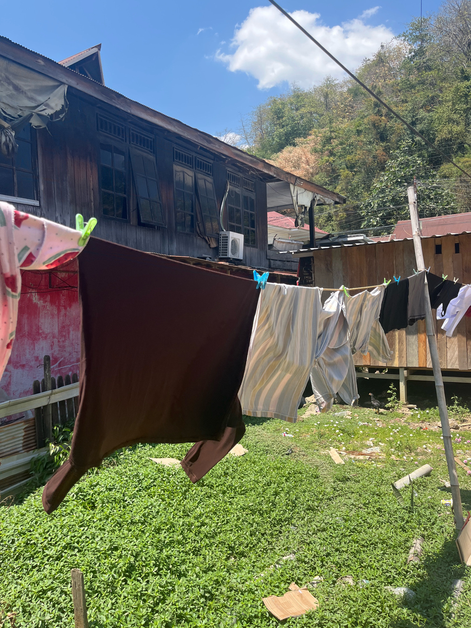 In Sengkang, Indonesia, laundry hangs on a clothesline in front of a weathered wooden house. The house has a corrugated metal roof and several dark-paned windows. Various items of clothing, including shirts and pants, are clipped to the line, some gently swaying in the breeze. Beyond the house, a lush green hillside rises, covered in dense foliage and trees. The ground in the foreground is a carpet of vibrant green ground cover dotted with small white flowers. Sunlight casts shadows, indicating a bright, clear day with a few wispy clouds in the blue sky. A small chicken can be seen foraging in the grass. The scene conveys a sense of everyday life in a rural or semi-rural setting.