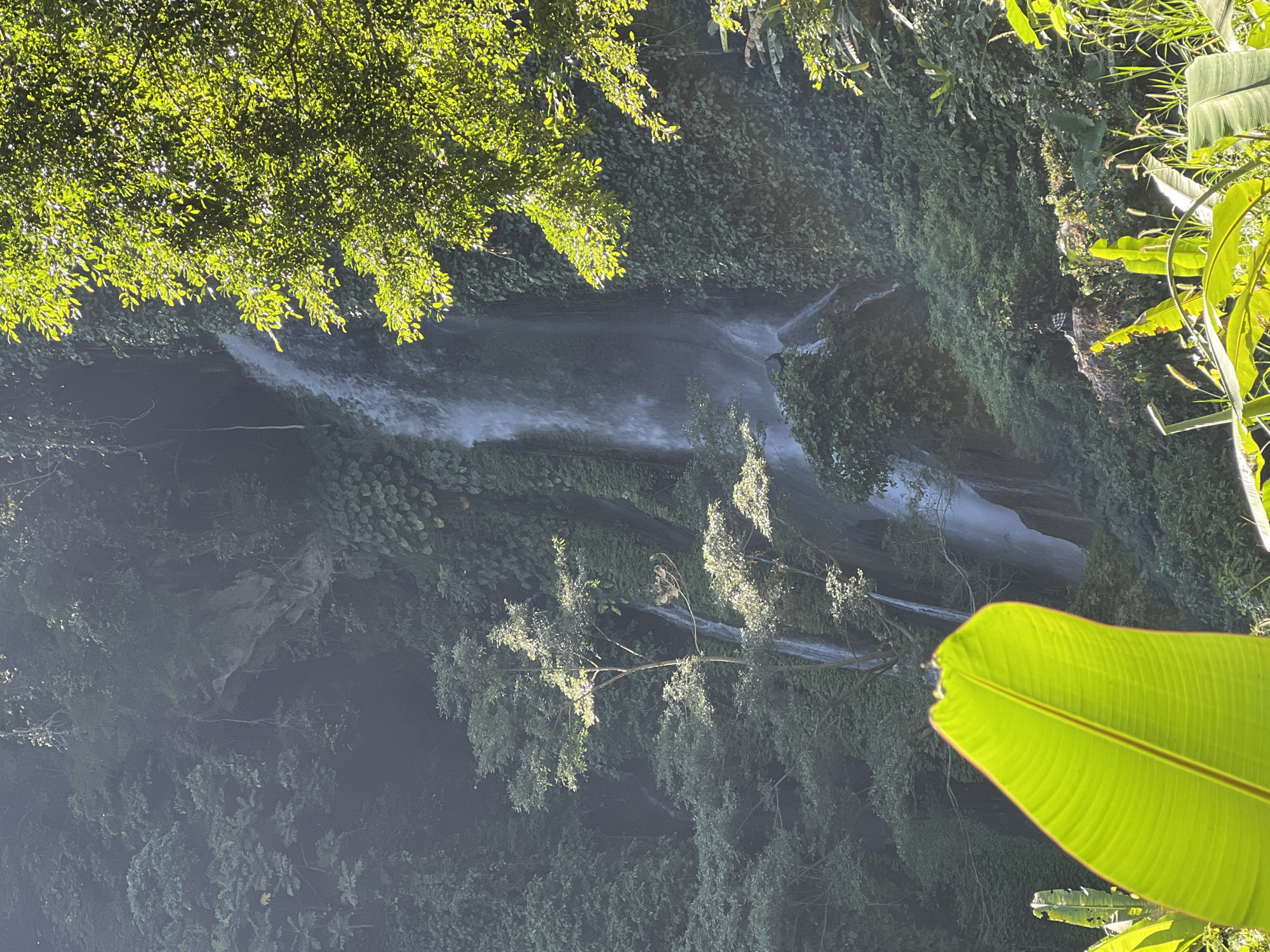 The image shows a lush, green waterfall cascading down a rocky cliff face. The waterfall is surrounded by dense vegetation, including trees, vines, and large leaves in the foreground. Sunlight filters through the trees, illuminating parts of the scene and creating a dappled effect. The water appears to be falling in multiple streams, creating a misty spray at the bottom. In the mid-ground, a small figure is visible sitting on a rock near the base of the waterfall. The overall impression is one of a natural, serene, and somewhat wild environment. The location is specified as Busungbiu, Indonesia.