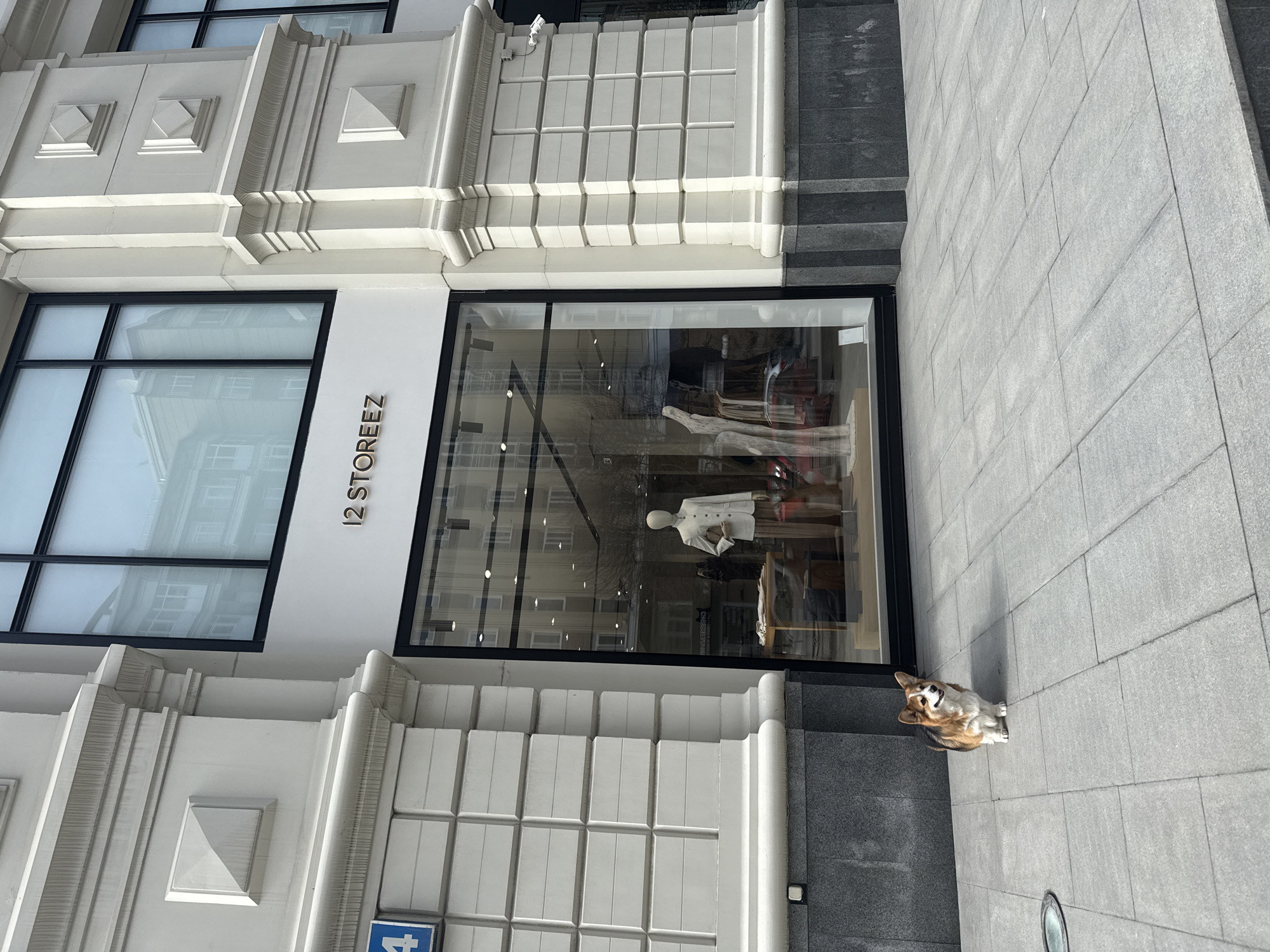 A street-level view captures the storefront of "12 Storeez" in Yekaterinburg, Russia, alongside a corgi dog. The building features a light-colored facade with rectangular patterns and black-framed windows. A mannequin is visible inside the shop window, dressed in a white jacket. The sidewalk is paved with gray tiles. The dog is positioned near the storefront, facing upward.