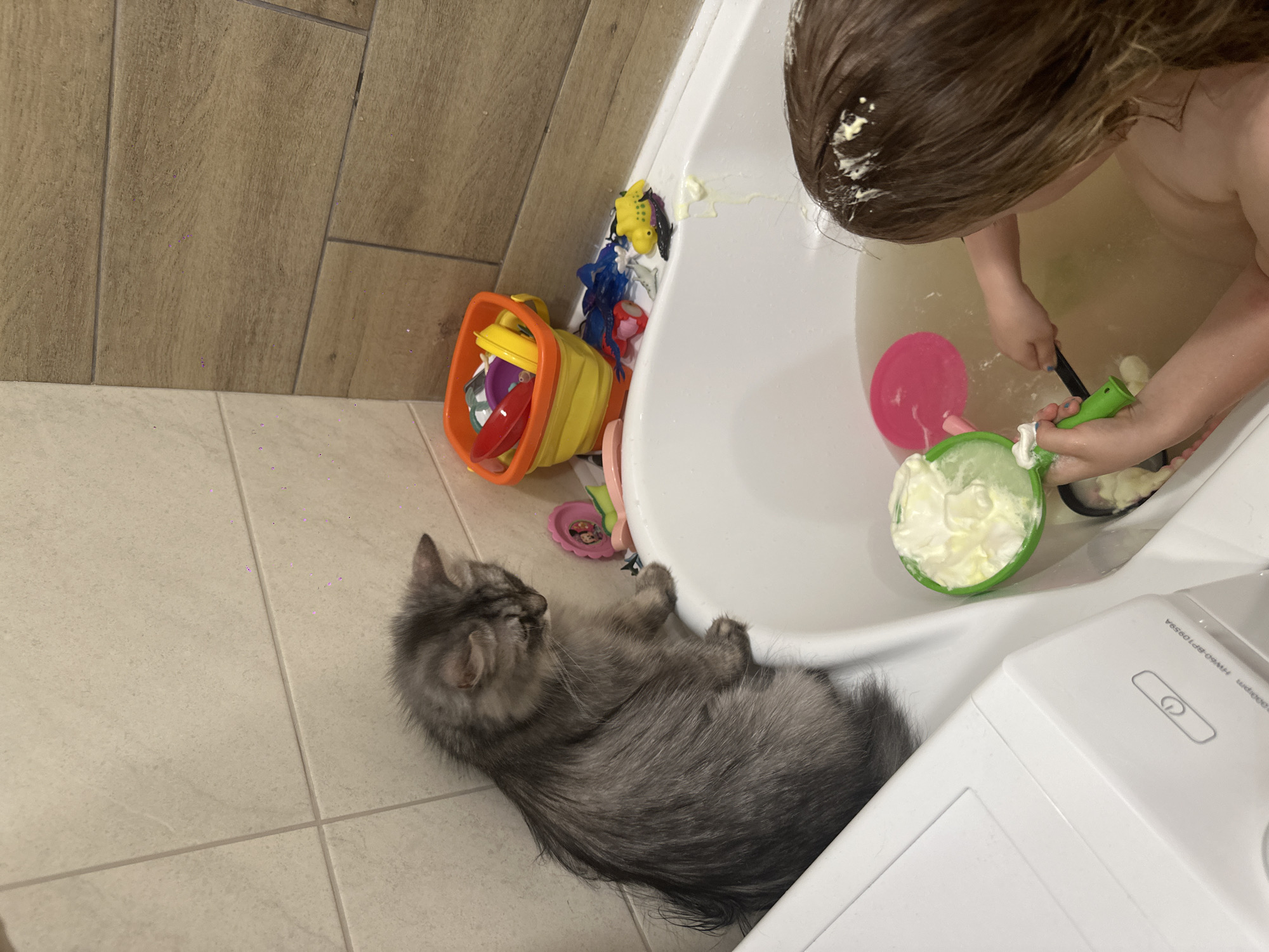The scene is a bathroom, likely in a private residence. A child is partially visible in a bathtub filled with water, playing with bath toys, including a pink paddle and a green container filled with a white, creamy substance, some of which is on the child's head. A grey, long-haired cat is lying on the tiled floor next to the bathtub. A collapsible bucket with other bath toys is visible next to the tub. A white appliance, possibly a washing machine, is adjacent to the bathtub. The location is purportedly in Chaikovsky, Russia.
