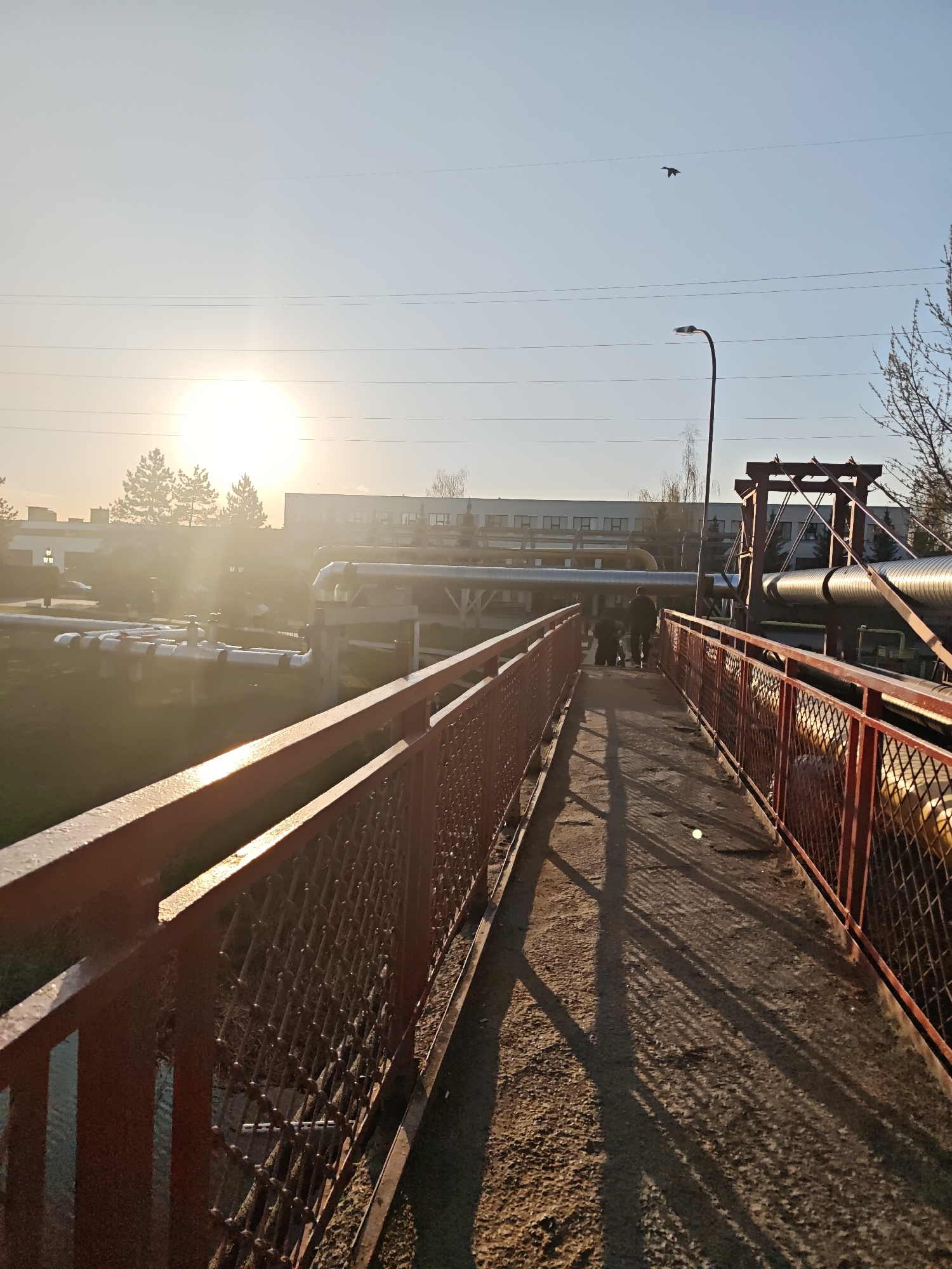The image depicts a pedestrian bridge in Noginsk, Russia, with red metal railings and a concrete walkway. The bridge appears to be part of an industrial area, with large pipes running alongside and above it. In the background, there is a building with multiple windows. Two people are walking on the bridge. The sun is low in the sky, casting long shadows across the walkway. A bird flies in the sky. There's a round object (possibly a ball) on the walkway. A streetlamp stands off to the right.