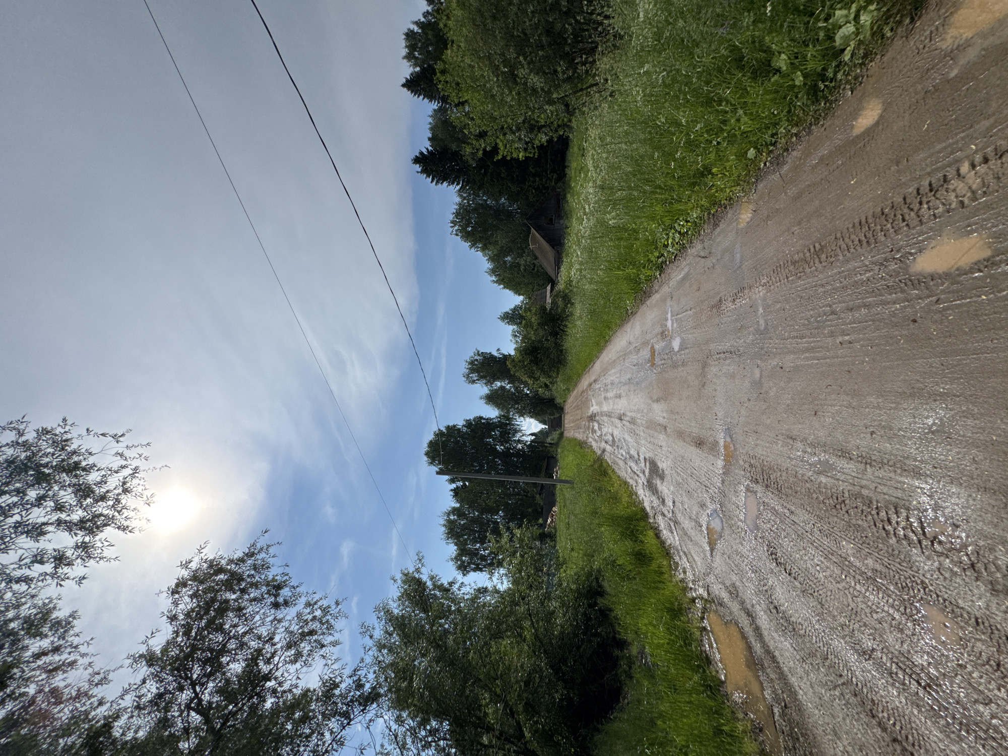 The image depicts a rural dirt road in the vicinity of Vasciata, Russia, on a partly cloudy day. The road is wet and appears to have puddles from recent precipitation, with visible tire tracks etched into the mud. Lush green grass and trees line both sides of the road. In the distance, several wooden structures, possibly houses or sheds with dark roofs, are visible among the trees. Overhead power lines traverse the sky, and the sun is partially obscured by clouds and tree branches in the upper left portion of the frame. No people or animals are present in the scene.