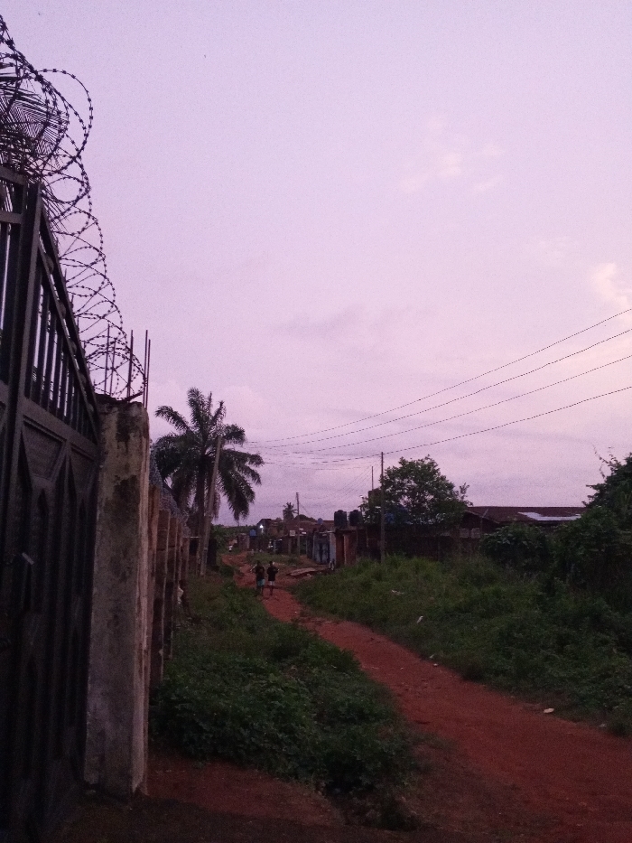 The image depicts a twilight scene in Uselu, Nigeria, characterized by a reddish-brown dirt path winding into the distance under a pale purple-pink sky. In the immediate foreground on the left, a dark metal gate, adorned with decorative patterns and topped with coils of razor wire, stands beside a rough concrete wall. Two individuals, appearing as dark silhouettes, walk away from the viewer along the dirt path in the middle ground. The path is flanked by dense green vegetation and sparse grass. To the right of the gate, a tall palm tree with dark fronds is prominent. Further into the scene, various low-rise structures with corrugated roofs and darker walls line both sides of the path, several featuring black water storage tanks on their rooftops. Overhead, multiple black utility wires stretch horizontally across the sky, supported by an unseen pole to the right. The overall environment suggests a residential area with unpaved roads and visible utility infrastructure.