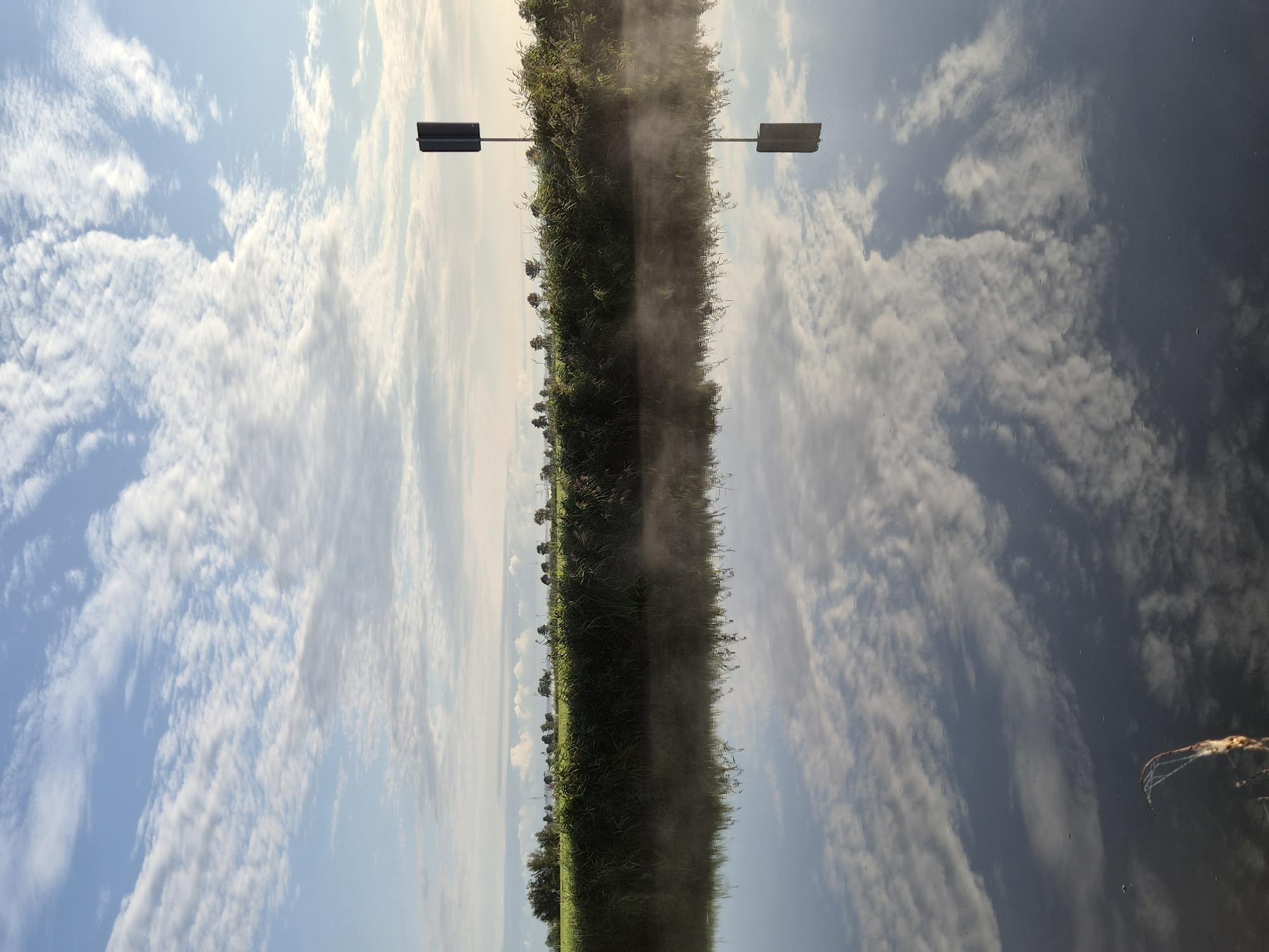 The image depicts a serene natural scene in the city of Schiffdorf, Germany, likely during the early morning given the presence of mist on the water and the soft lighting. The foreground features a calm body of water reflecting the sky and the surrounding landscape. The water is slightly misty, adding to the tranquil atmosphere.
Dominating the upper portion of the image is a vast sky filled with a variety of clouds. Some are wispy and streaky, while others are more voluminous and textured, creating a dynamic and layered effect. The sky transitions from a pale blue at the top to a lighter, almost hazy hue towards the horizon.
Along the middle ground, a dense line of lush green vegetation runs horizontally, creating a visual barrier between the water and the sky. This vegetation appears to be a mix of tall grasses and small trees or bushes, with a few taller trees scattered along the distant treeline. The texture of the grass is visible, suggesting a slightly overgrown or wild state.
To the right of the frame, a tall, dark, rectangular signpost stands prominently against the sky and vegetation. Its sharp, angular form contrasts with the softer natural elements of the scene. The signpost is reflected in the water below, creating a symmetrical element in the composition.
The overall impression is one of quiet natural beauty, characteristic of a rural or parkland setting within Schiffdorf. There are no people or animals visible in the image, emphasizing the solitude and peacefulness of the environment. The lighting suggests a time of day with soft, diffused light, likely sunrise or early morning. The reflection in the water is a significant feature, mirroring the sky and the bank with remarkable clarity, albeit slightly distorted by the water's surface and the mist.