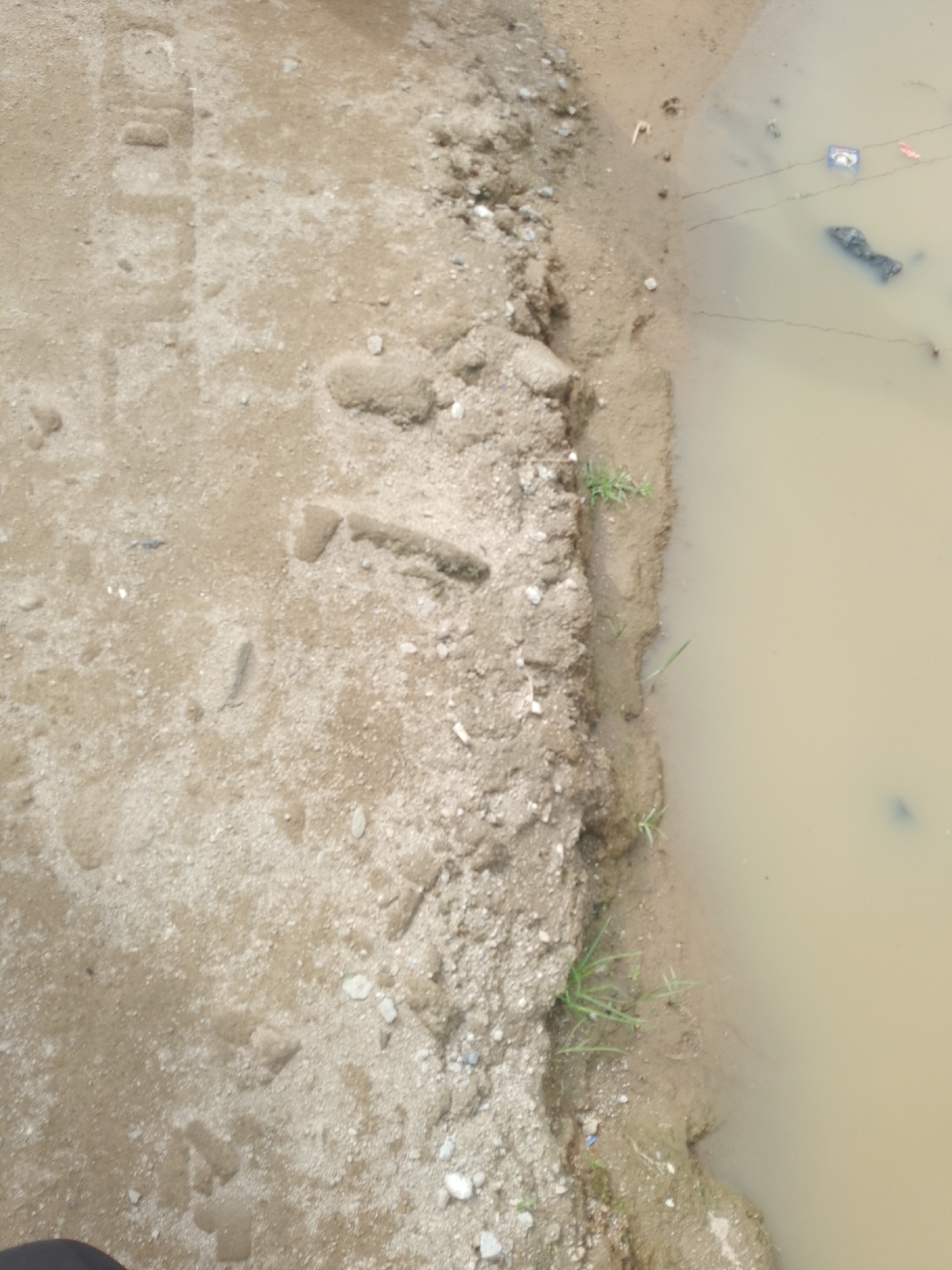 The image depicts an overhead view of a muddy bank adjacent to a body of murky water. On the bank, there are several footprints impressed into the soil. Some of these appear to be human, while others may be from an animal. There are also small stones and debris scattered across the ground. In the water, some debris is visible, including what appears to be a plastic bag or wrapper and possibly a dark, amorphous object that could be trash or organic matter. A few blades of grass are growing along the water's edge, indicating some sparse vegetation. The scene suggests an outdoor environment, possibly a neglected or undeveloped area within an urban setting.