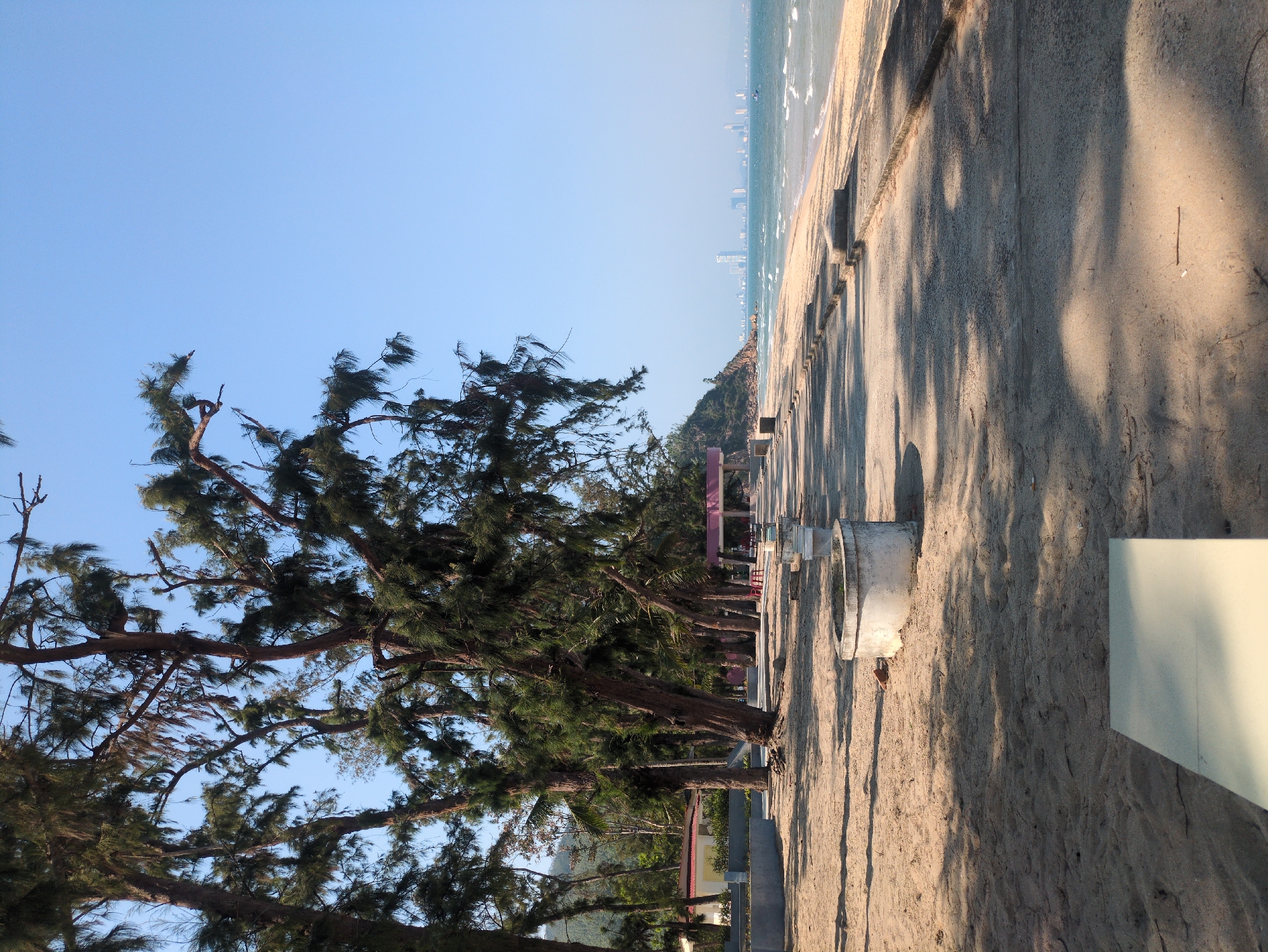 The image shows a beach scene in South Quy Nhon Ward, Vietnam. The beach is sandy, with rows of trees lining the edge. Shadows from the trees stretch across the sand. In the distance, a cityscape is visible along the coastline. A concrete barrier separates the trees from the beach.