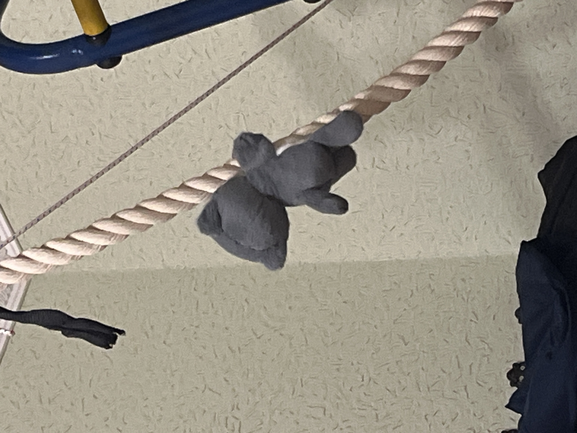 A grey stuffed toy animal, possibly an elephant, is hanging on a thick, tan rope. The toy appears to be suspended and is positioned on the right side of the rope. The background is a textured, light-colored wall. To the right of the rope, a portion of a blue and yellow structure, likely part of a playground or climbing frame, is visible. In the upper left of the image, a black fabric object, perhaps a strap or piece of clothing, is hanging. The lower part of the image shows the corner of a dark blue object, possibly a bag or piece of clothing. The scene appears to be indoors. The city of Muravlenko, Russia is not discernible from the image.