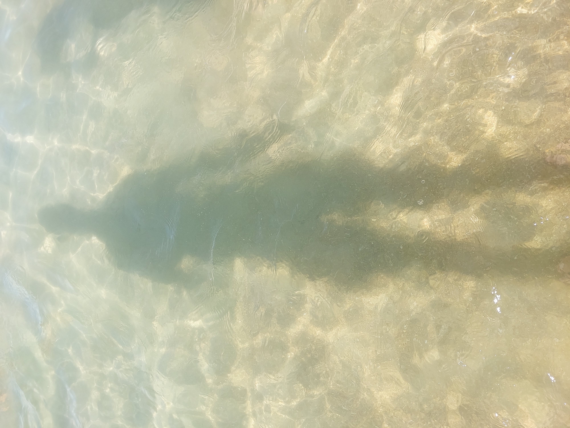 A full-body shadow of a person is cast on the sandy bottom of shallow, clear, greenish-tinted water. The shadow is centered in the frame and takes up most of the vertical space. Sunlight refracts through the water's surface, creating rippling patterns of light and shadow across the seabed and the silhouette. The water is calm, with only minor surface disturbances visible. The image appears to have been taken in a tropical environment, possibly a beach or shallow sea. The location is specified as Baan Chaweng Noi, Thailand, suggesting a coastal setting.
