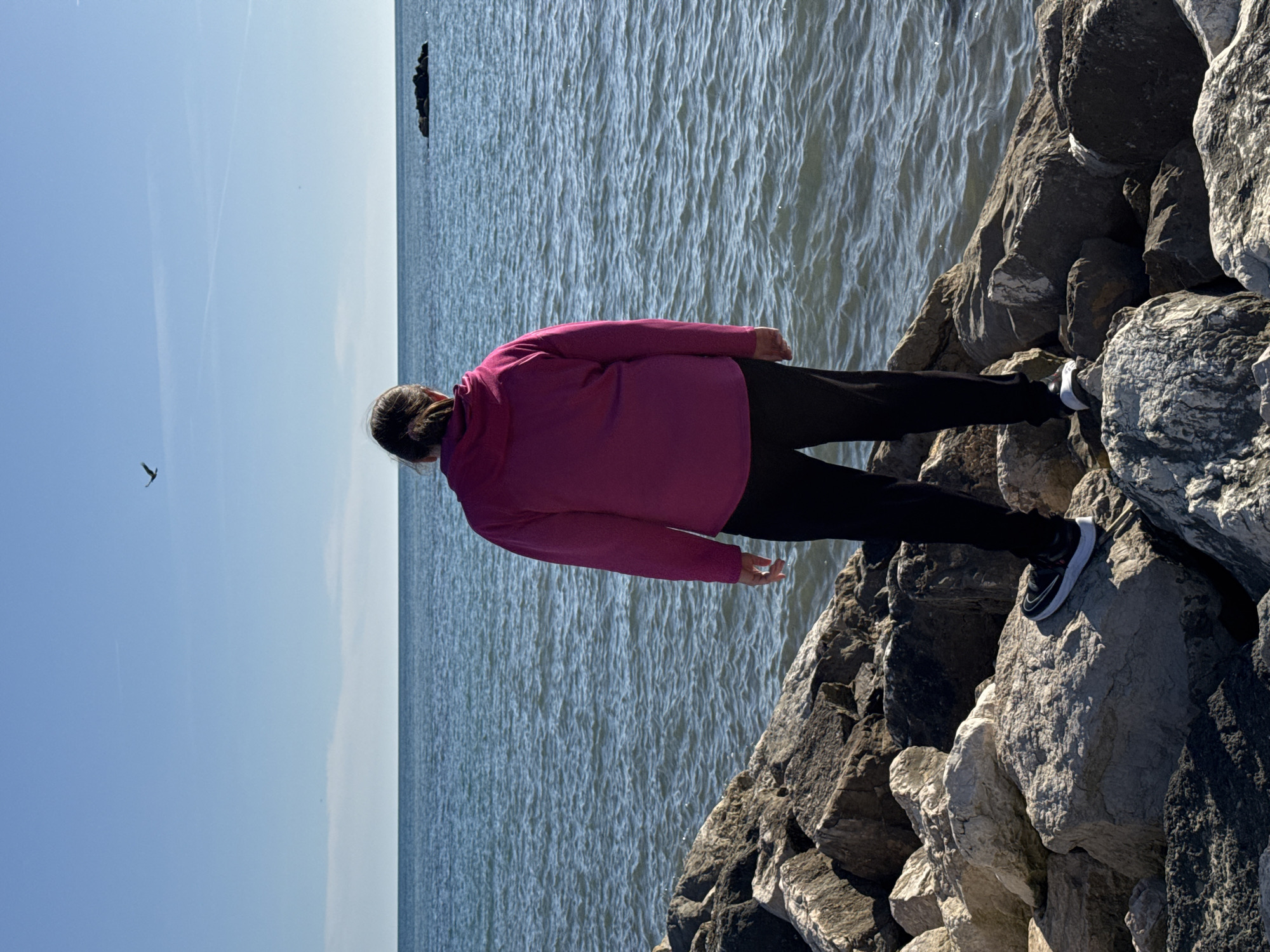 This image, taken in Nettuno, Italy, depicts a serene coastal scene on a bright, clear day. The central subject is a person, viewed from behind, standing on a rocky breakwater or shoreline. They are wearing a vibrant magenta long-sleeved top, dark pants, and black and white sneakers, with their hair tied back. The individual is positioned towards the right side of the frame, looking out over the expansive, rippling blue sea.
The foreground is characterized by large, rugged grey and white boulders that form the structure the person is standing on. The sea occupies the middle ground and left side of the image, appearing calm with gentle waves reflecting the bright sunlight. Further out in the water, a small, dark rock formation is visible near the horizon.
Above the sea, the sky is a clear, pale blue, indicating fair weather. A lone bird is captured in flight as a dark silhouette high in the sky. The bright illumination suggests it is daytime, likely late morning or early afternoon. The overall atmosphere is peaceful and contemplative, with the person seemingly observing the seascape. No visible text is present in the image.