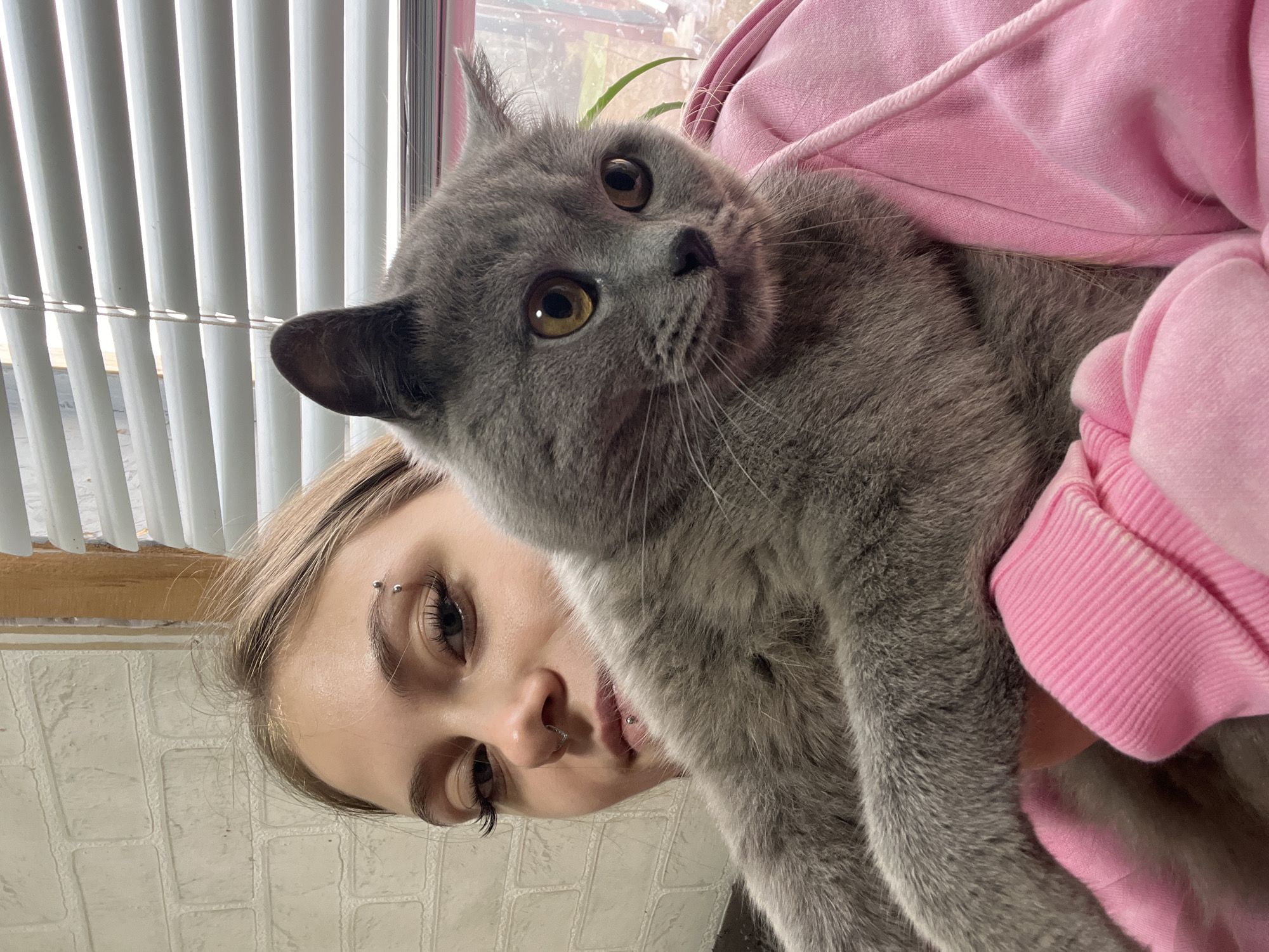 A person wearing a pink hooded sweatshirt is holding a grey cat with yellow eyes. The person has pierced eyebrows and a lip piercing. The background includes white blinds and a white brick wall. While the location is believed to be in the city of Фоки, Russia, this detail cannot be definitively confirmed by the image itself.