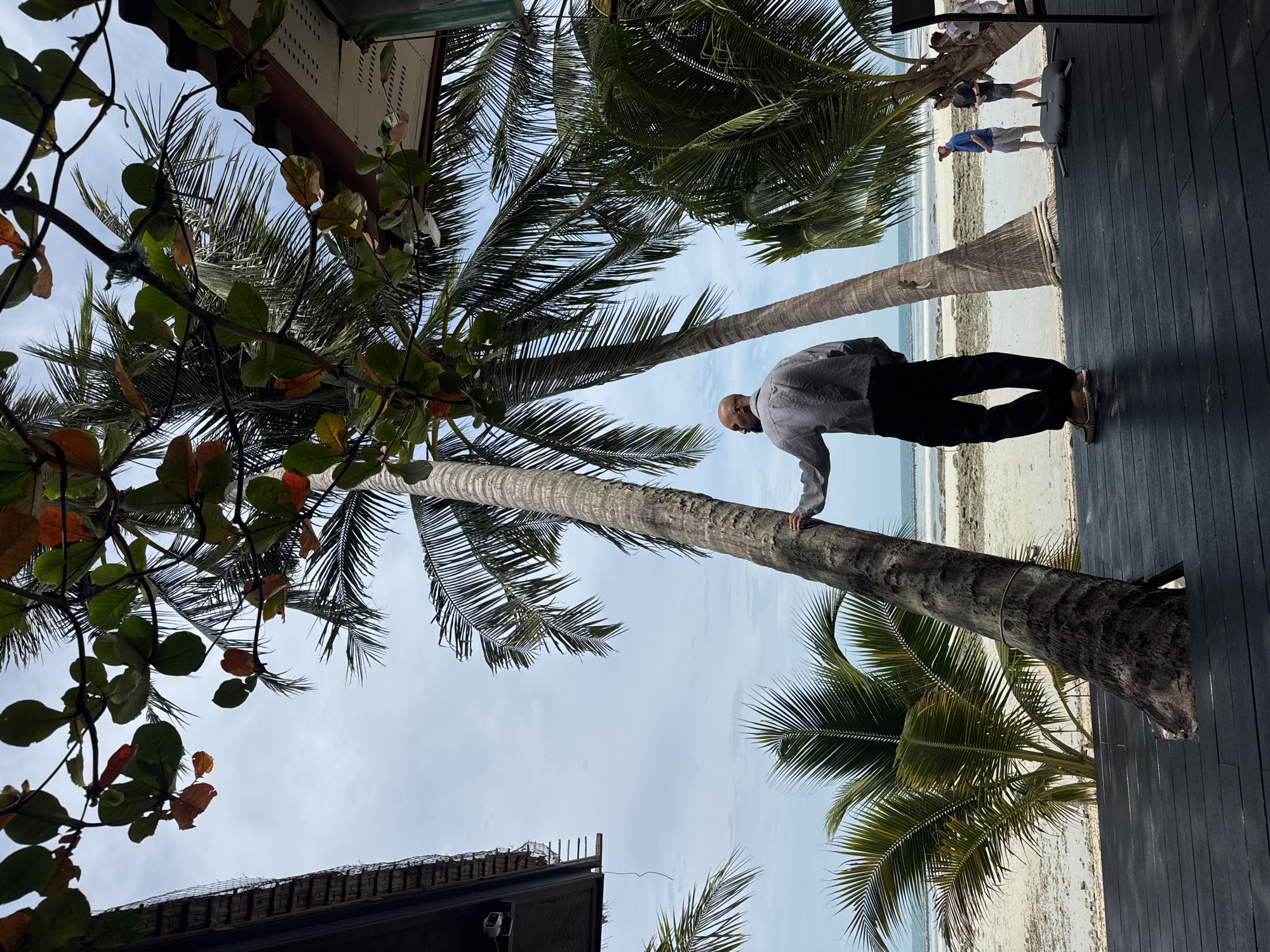 A balding man wearing a striped shirt and dark pants stands on a dark wooden deck, leaning against a palm tree. The deck is elevated above a sandy beach with scattered rocks and debris. In the background, the ocean stretches out to the horizon under a cloudy sky. Several other palm trees surround the man, and a building with a thatched roof is visible to the left. Further down the beach, a small group of people are walking. The scene appears to be a tropical setting, likely on Ko Samui District, Thailand.