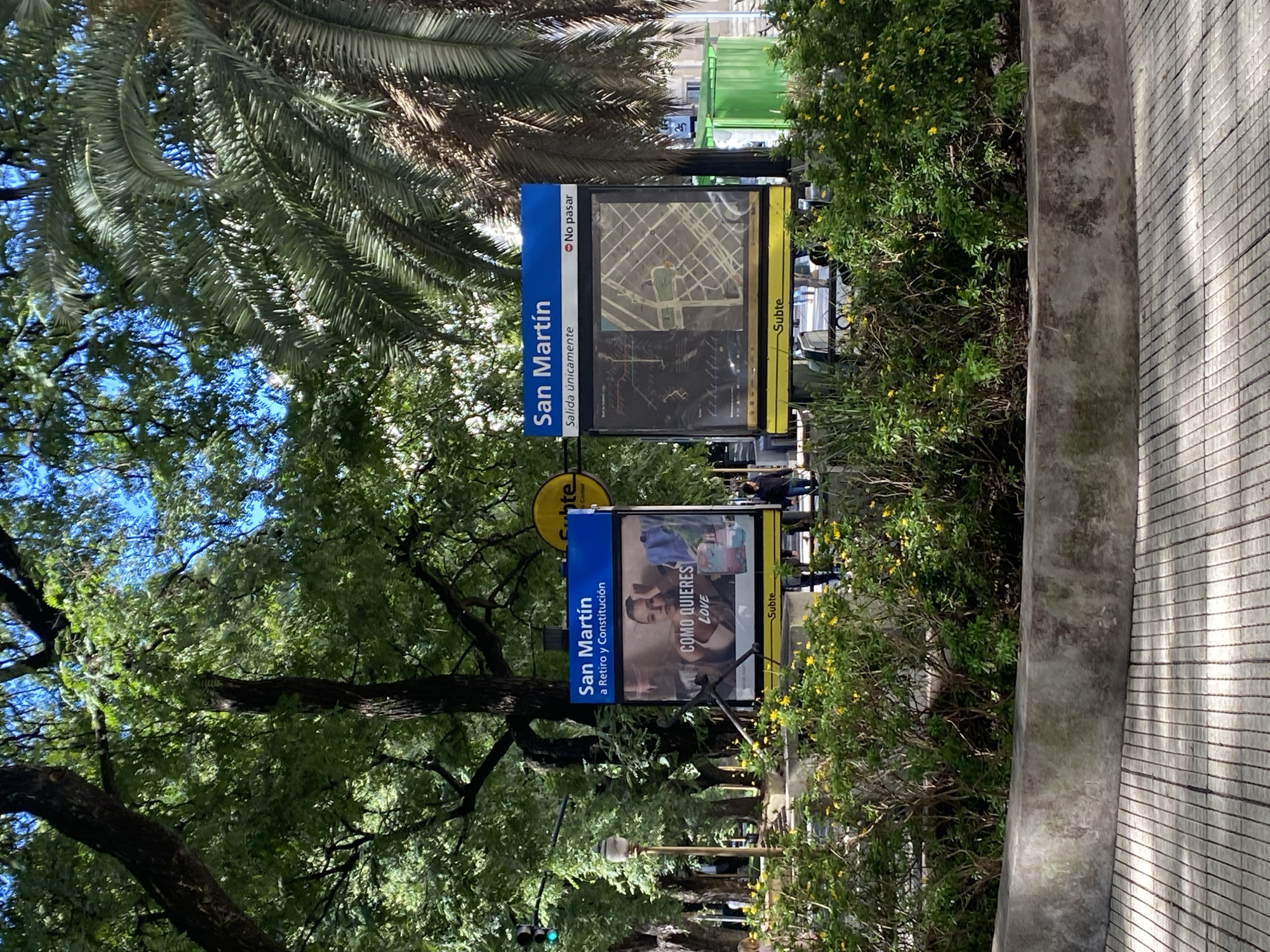 This rotated image depicts an outdoor urban scene in Buenos Aires, Argentina, featuring a subway station entrance/exit. The foreground is dominated by lush green foliage, including large trees with expansive canopies and palm fronds against a bright blue sky, suggesting a sunny day. A concrete barrier and a tiled sidewalk run along the right side of the frame.
Central to the image are two prominent blue and yellow signs for the "San Martín" Subte (subway) station. The sign on the left clearly states "San Martín" and "Salida únicamente" (Exit only), accompanied by a "No pasar" (Do not pass) symbol. Below this text, a stylized map of the subway lines or local area is displayed. The second sign, located to the right and slightly lower, also identifies the station as "San Martín" and indicates routes "a Retiro y Constitución" (to Retiro and Constitución). This sign also features an advertisement with a person's face and the text "COMO QUIERES LOVE". Both signs prominently display "Subte".
The scene suggests an active public space, with a few blurry figures visible in the background, possibly pedestrians or people using the subway. A traffic light showing green is visible amongst the trees. The overall impression is one of a busy yet green urban environment, likely a park or wide boulevard, serving as a key transit point during daylight hours.
