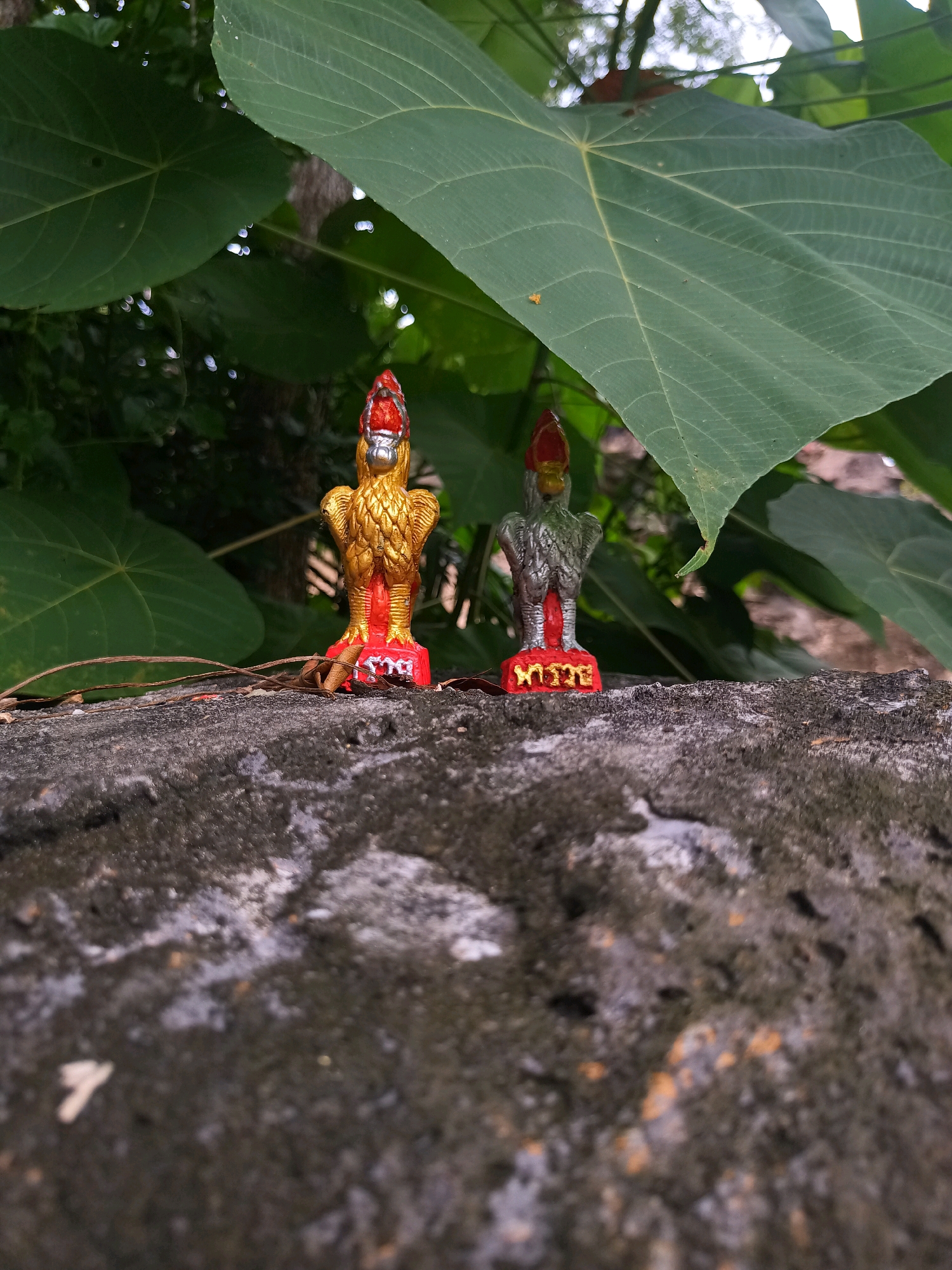 Two small, ornate statues, resembling roosters, stand on a rough, grey stone surface. The statue on the left is predominantly gold with red accents on its base and comb. The statue on the right is silver with similar red accents. Both statues have red bases with what appear to be inscribed characters. They are positioned outdoors, with large green leaves forming a backdrop. The foreground is dominated by the textured stone, with some dry twigs and leaves scattered on its surface. The lighting suggests it is daytime, possibly in the late afternoon, with dappled light filtering through the leaves. The setting appears to be a natural, outdoor environment, possibly within a garden or park in Sai Thai, Thailand.