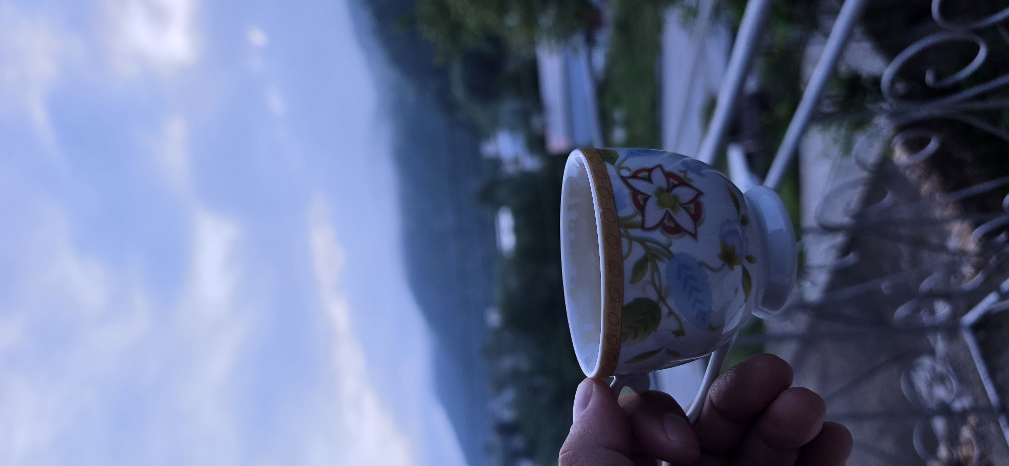 The image features a person's hand holding a decorative teacup or coffee cup against a scenic backdrop of mountains and sky. The cup is white ceramic, adorned with a colorful floral pattern that includes red and white flowers with yellow centers, complemented by blue and green leaves and vines. A delicate, gold-toned patterned band decorates the rim of the cup. The hand holding the cup appears to have a light to medium skin tone.
In the background, a soft, light blue sky with diffused white clouds occupies the left side of the frame. To the right and stretching into the distance, a hazy landscape of dark green mountains or hills is visible, partially obscured by mist or low clouds, indicating an overcast or foggy day. A white, ornate metal railing, likely part of a balcony or terrace, is present on the far right, suggesting a vantage point overlooking the scenery. The overall scene conveys a sense of peaceful enjoyment, perhaps of a beverage while admiring the view from Rudozem, Bulgaria. The time of day appears to be daytime under cloudy conditions. There is no visible text in the image.