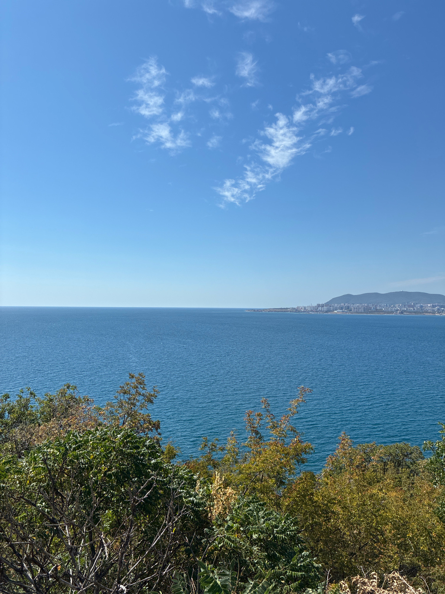 The image depicts a panoramic view of the Black Sea from an elevated position overlooking a coastal city. The sea occupies the majority of the frame, with a clear, deep blue hue. A thin, distant shoreline is visible on the right, featuring a densely built urban area with numerous buildings and a backdrop of rolling hills. The sky above is a vibrant blue, with scattered wisps of white clouds. In the foreground, lush green foliage from trees and bushes obscures the ground, suggesting a natural viewpoint. The scene is a daytime shot, characterized by bright sunlight. The location is identified as Novorossiysk, Russia, a port city on the Black Sea. There are no people or specific actions visible in the image.