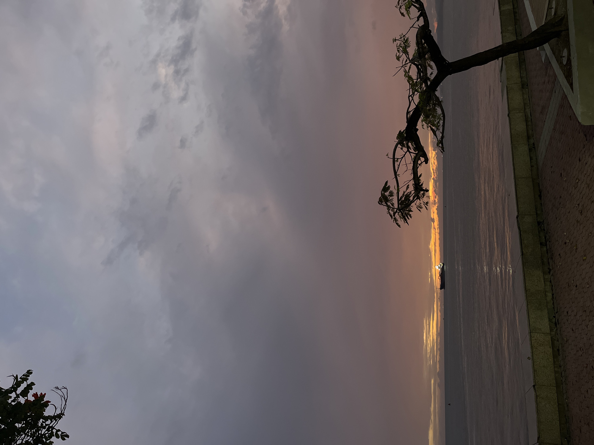 The image shows a twilight scene over a body of water. The sky is filled with dark, overcast clouds, giving the impression of an impending storm. A warm, orange glow is visible along the horizon where the sky meets the water, possibly indicating a setting sun. A tree with sparse foliage hangs over the water, its silhouette adding a touch of drama to the scene. The water reflects the colors of the sky, creating a muted yet captivating effect. Along the right side of the frame, there is a paved walkway with a low wall, suggesting this is a waterfront area within a city. The image captures a serene moment in nature amidst an urban landscape. The location is Unknown, Unknown.