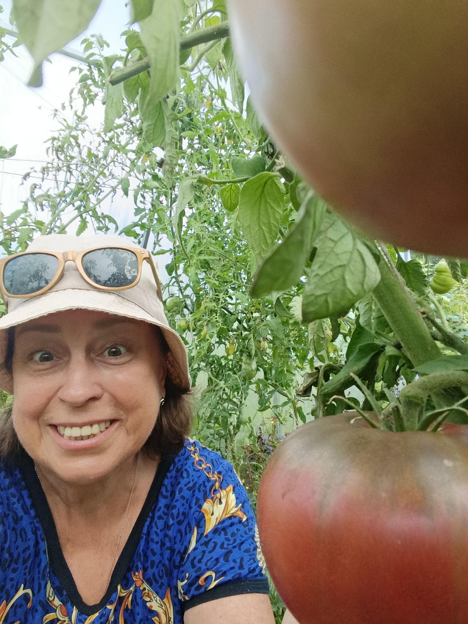 A woman wearing a tan bucket hat and sunglasses smiles widely in a greenhouse, surrounded by tomato plants. A large, dark red tomato is in the foreground, partially obscuring the view. The woman is wearing a blue and gold patterned shirt. The environment is green and appears to be a garden setting.