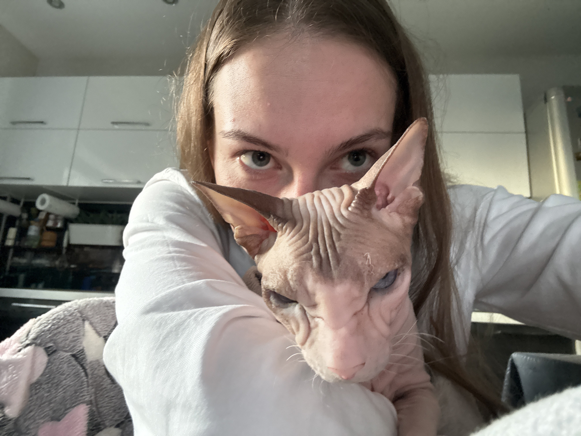 A young woman with long brown hair is holding a Sphynx cat close to her face, peeking out from behind its head. The woman is wearing a white shirt. The cat has light pink skin, large ears, and blue eyes. The background suggests an indoor setting, possibly a kitchen, with white cabinets visible. The scene is lit by natural light, casting shadows. The photograph appears to be a selfie taken in Novaya Ivanovka, Russia.