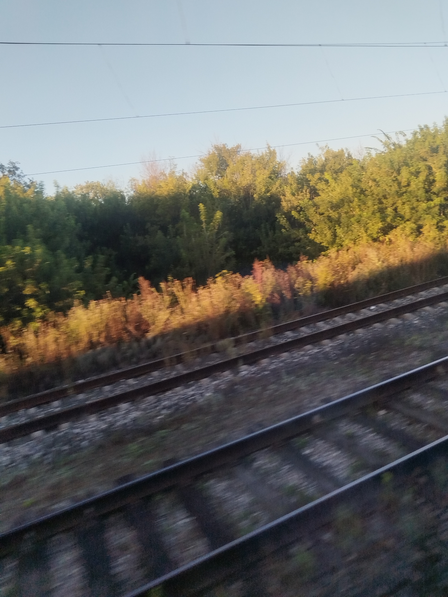 An exterior, medium shot captures a moving train's perspective of a landscape with railway tracks in the foreground and a treeline in the background. The sky is a pale blue with a few thin, dark horizontal lines, likely power lines or wires, stretched across it. The treeline is dense, with various shades of green foliage and some areas illuminated by a warm, golden light, suggesting the sun is low in the sky. The railway tracks, made of dark metal, are laid on ballast and are angled diagonally from the bottom left to the top right of the frame. The motion of the train causes a slight blur in the image, particularly noticeable on the tracks and the vegetation. The scene appears to be in Zaglyadino, Russia. There are no people or animals visible in the image.