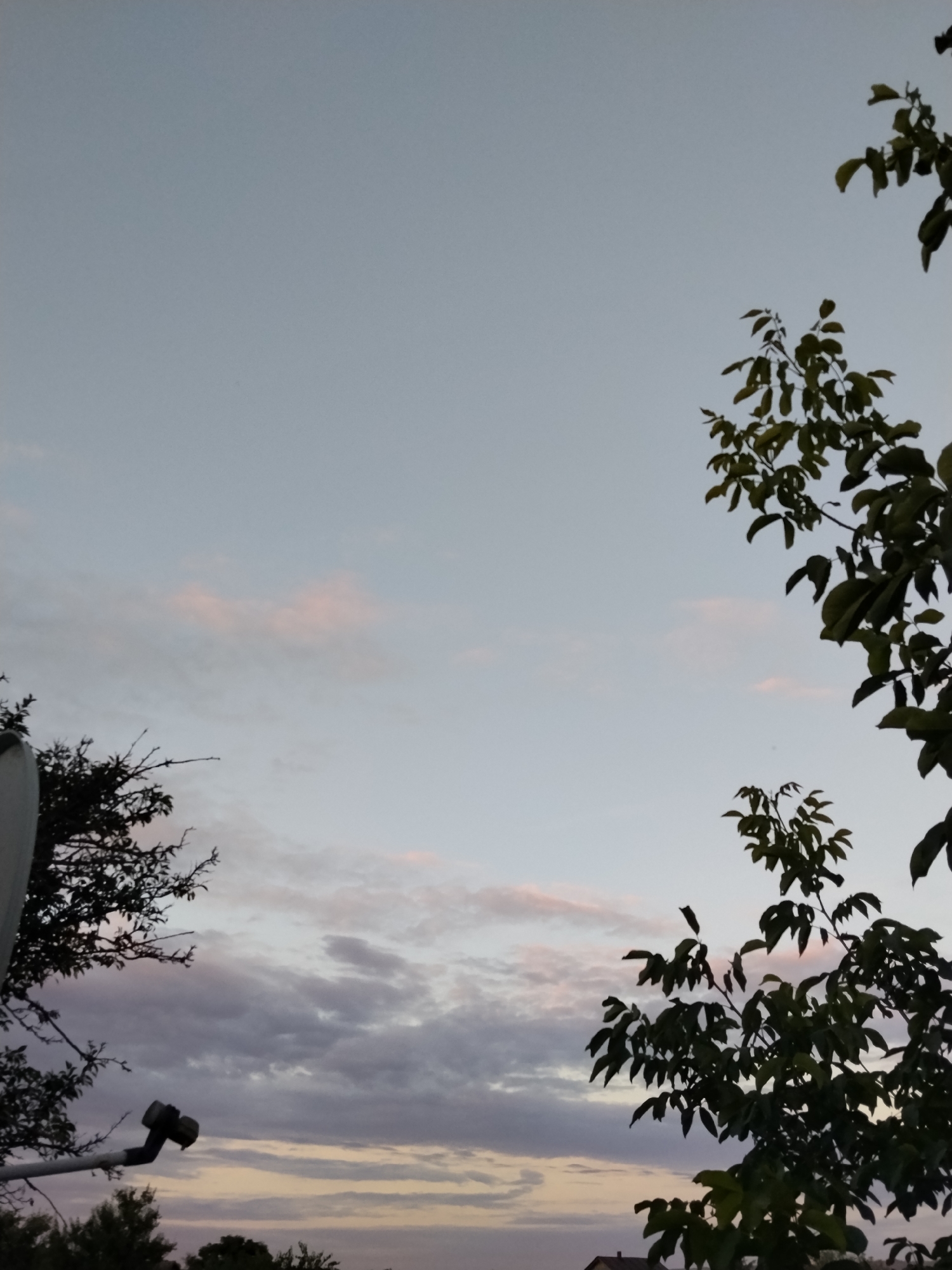 The image depicts a dusk sky over Ustyvytsia, Ukraine. The sky is a soft, pale blue, transitioning to lighter hues near the horizon where a hint of pink is visible amongst the clouds. Dark silhouettes of trees frame the scene from the left and right edges. On the left, a satellite dish antenna is partially visible, attached to a pole. The trees have dense foliage, with branches extending into the frame. The overall atmosphere is serene and tranquil, characteristic of the twilight hour.